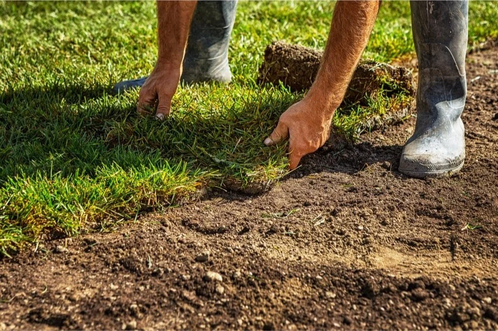 landscaper in houston TX