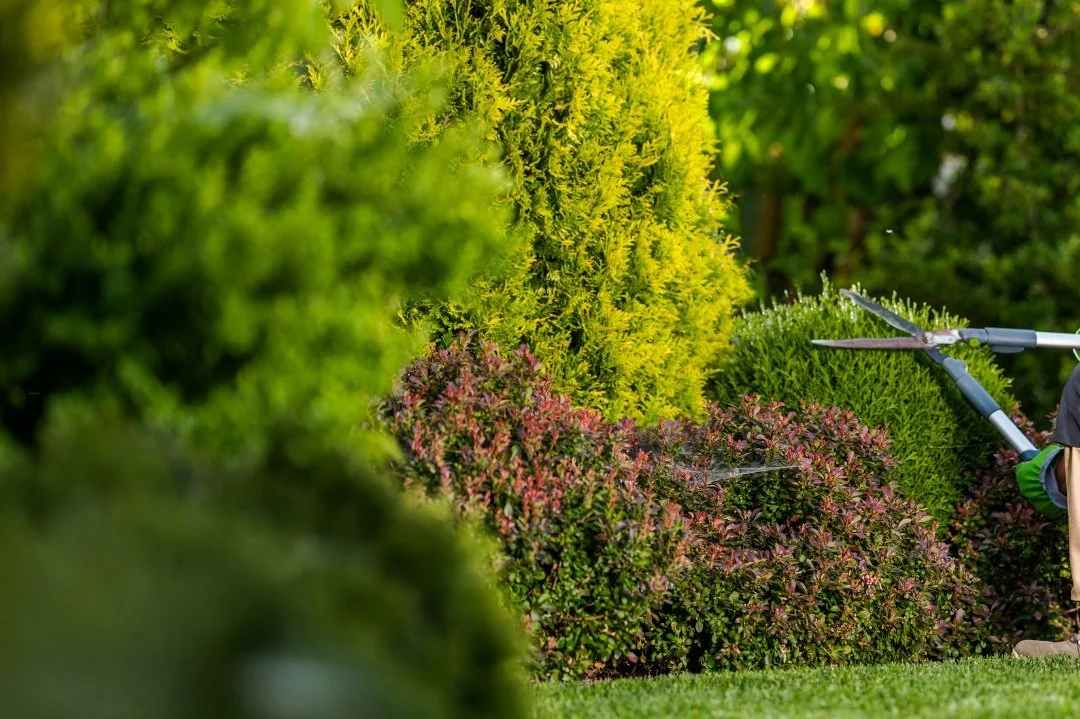 landscaper in Lake Jackson TX
