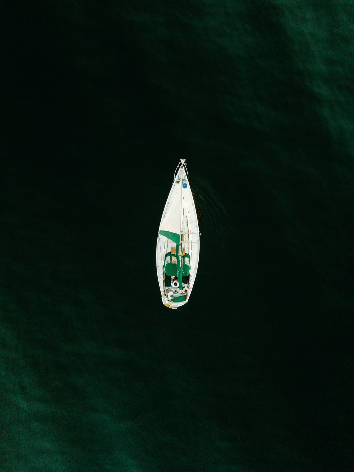 The Fourniers _ Sailboat Engagement Session-252.jpg