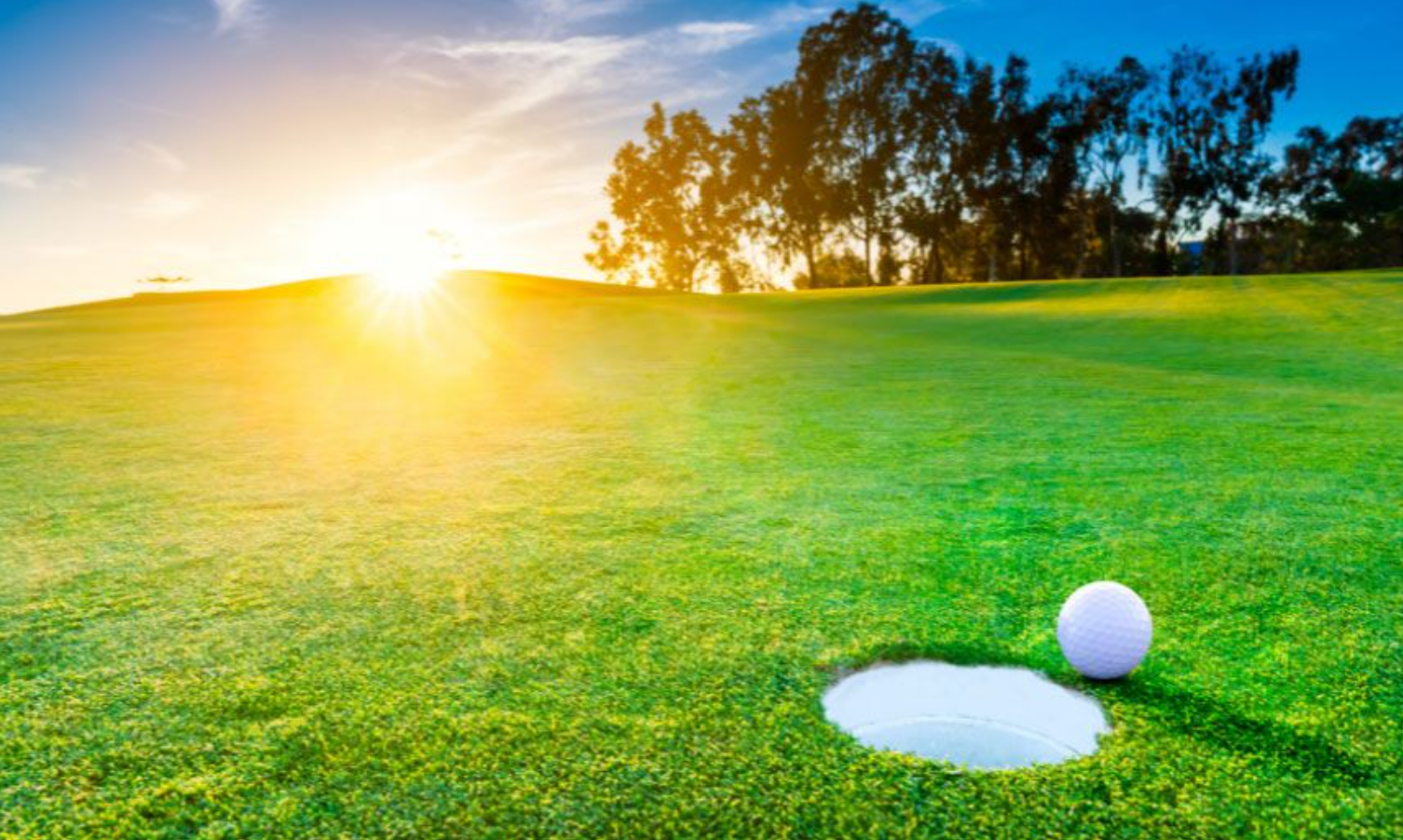 View of a bright sunlit golf course