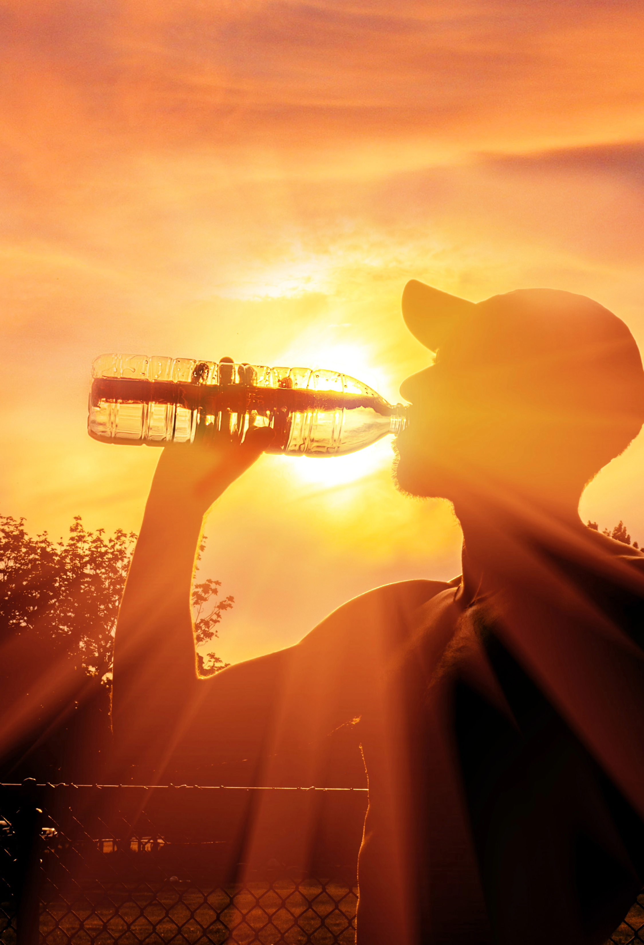 Beat the Heat: How High Temperatures Affect Kidney Function