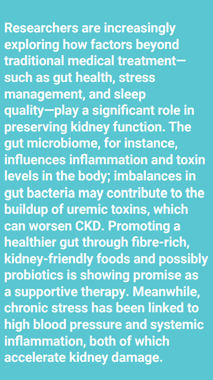Research on CKD