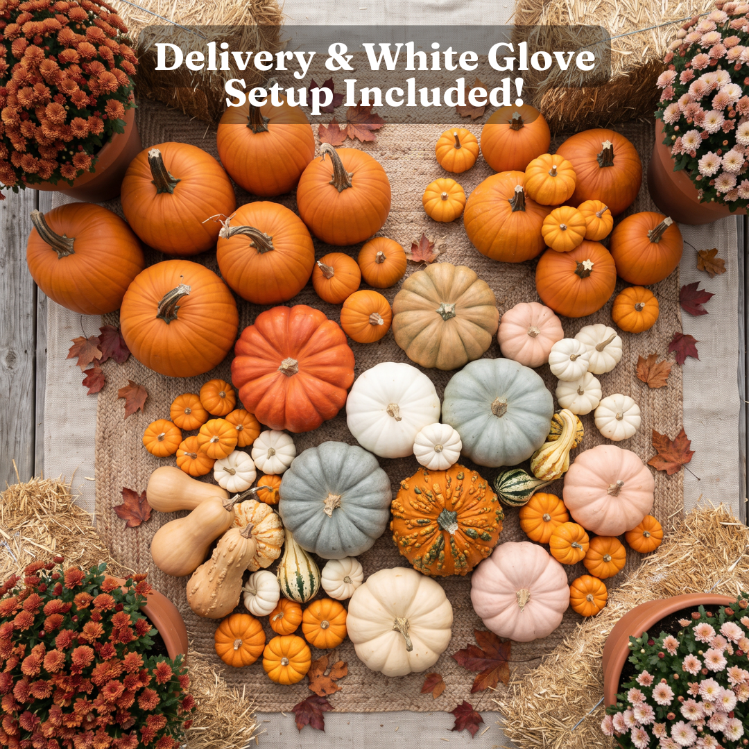 I Gotta Have It - Fall 2026 Pumpkin Package