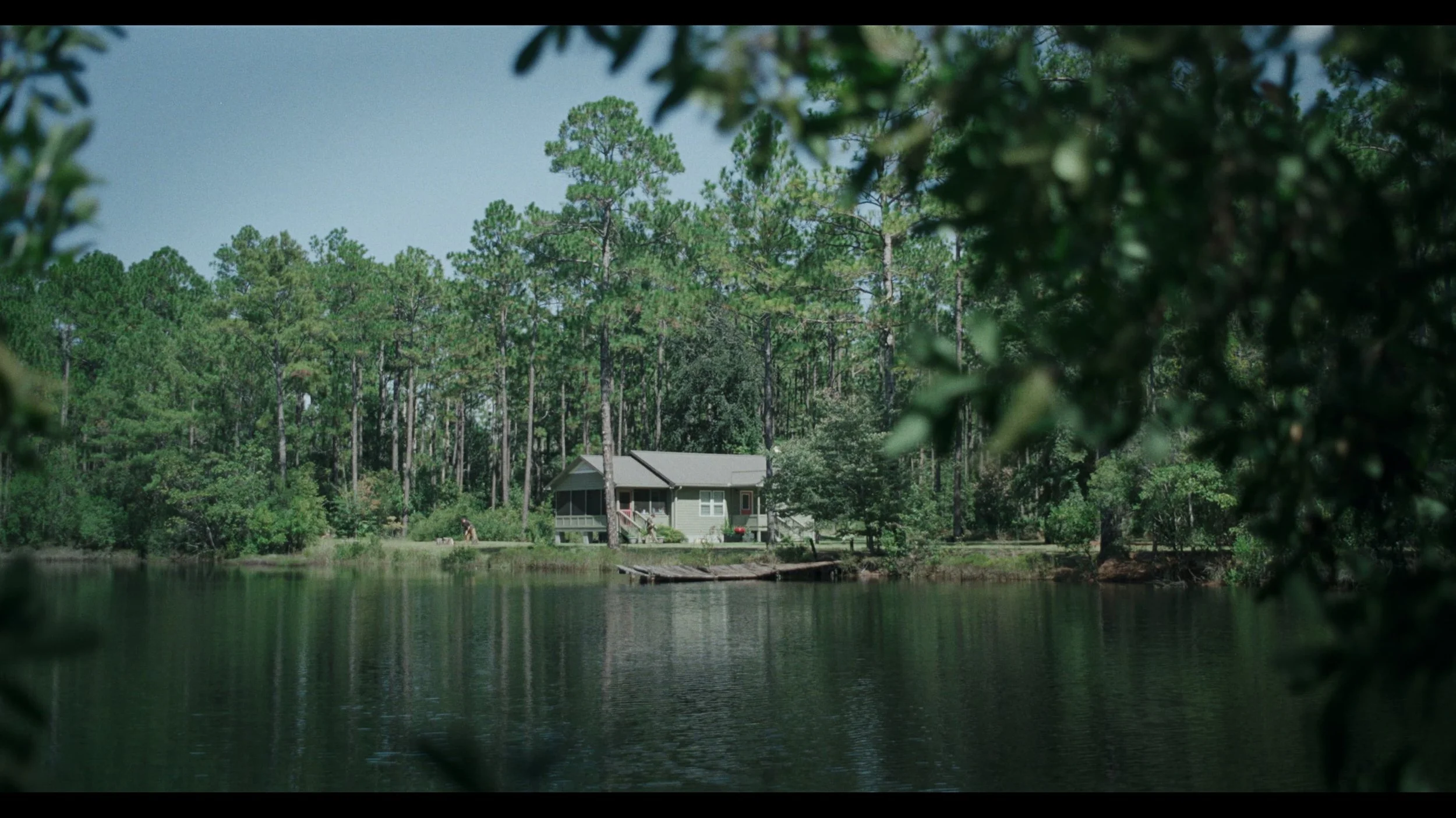 A house by the water surrounded by tall pine trees, with foliage partially obscuring the view.