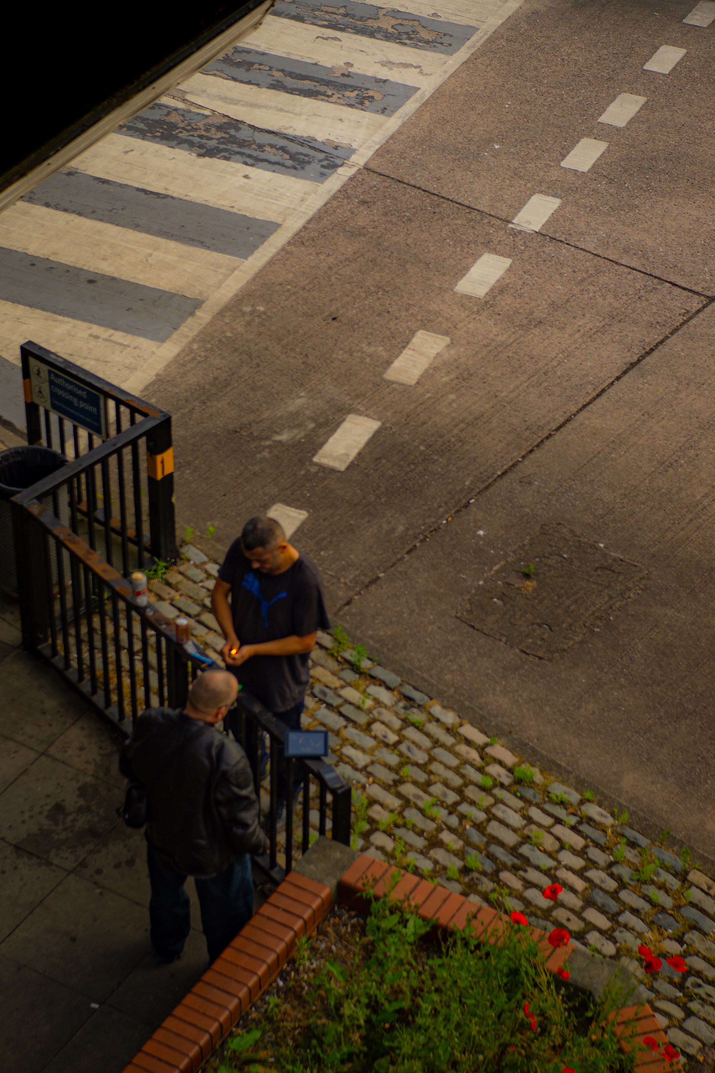 DSC03108-3.jpg