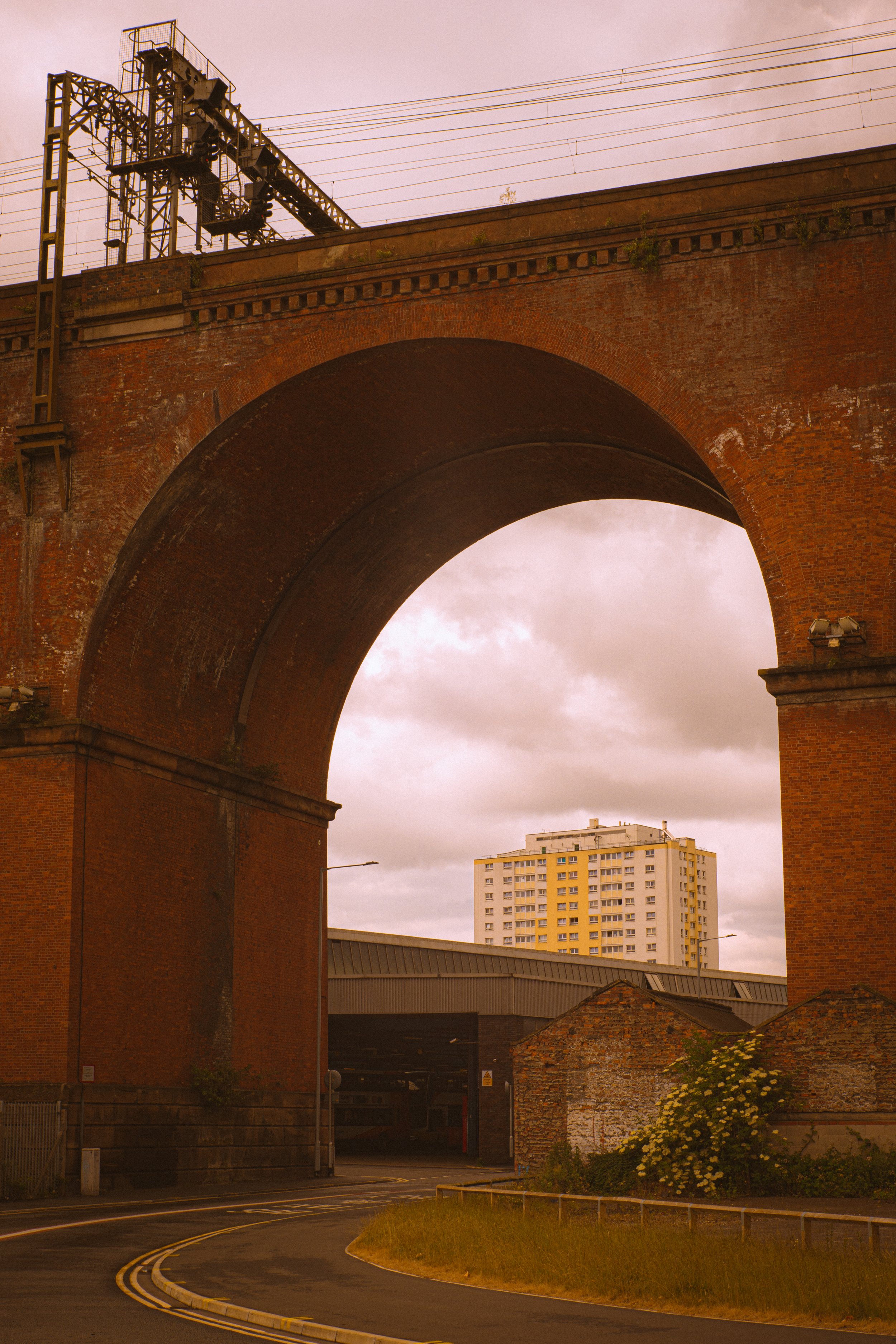 DSC03543.jpg