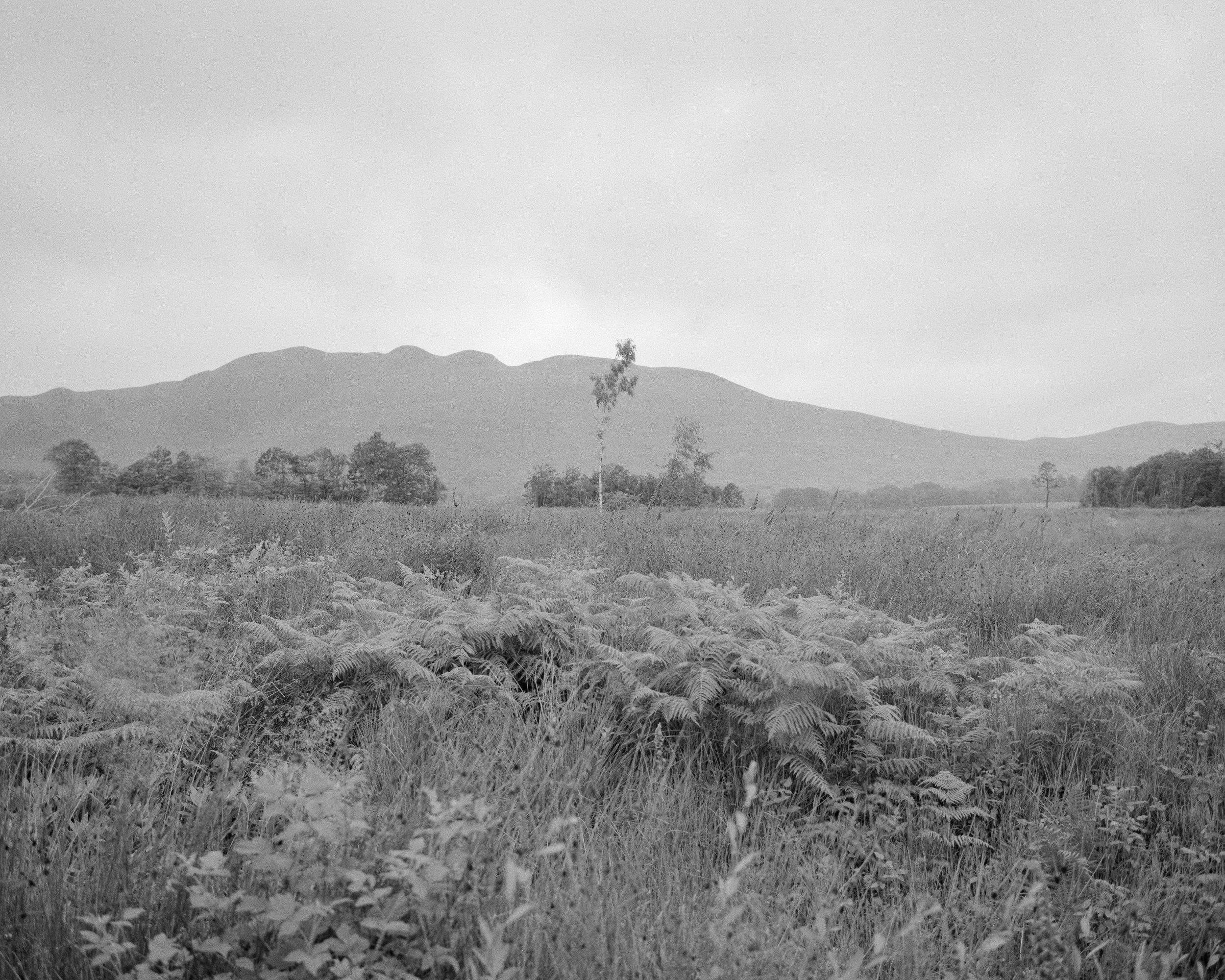 2film1022 (12).jpg