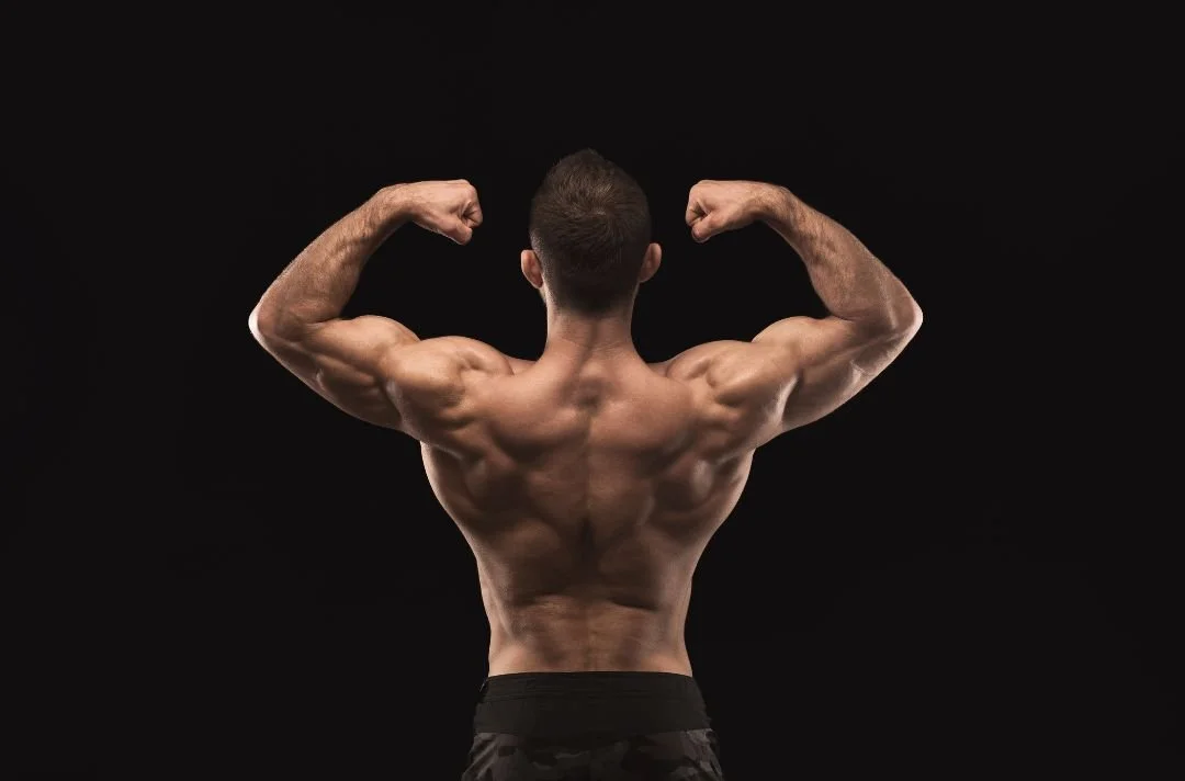 Muscle Building vs. Fat Loss Training Explained