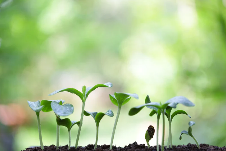 Legacy: More Than What You Leave Behind