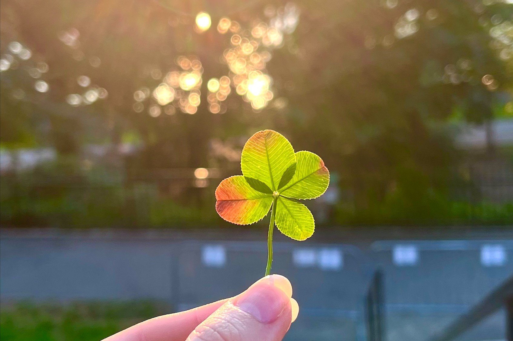 What Makes Nonprofits Successful – It Isn’t Luck