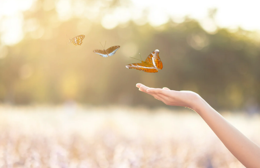 Delegation for Business Owners: Why Growth Requires Letting Go