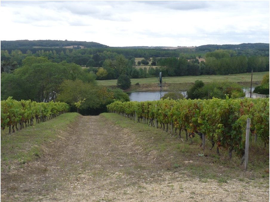 CPIE Touraine-Val de Loire - Sensibiliser aux enjeux de l’eau dans les zones viticoles