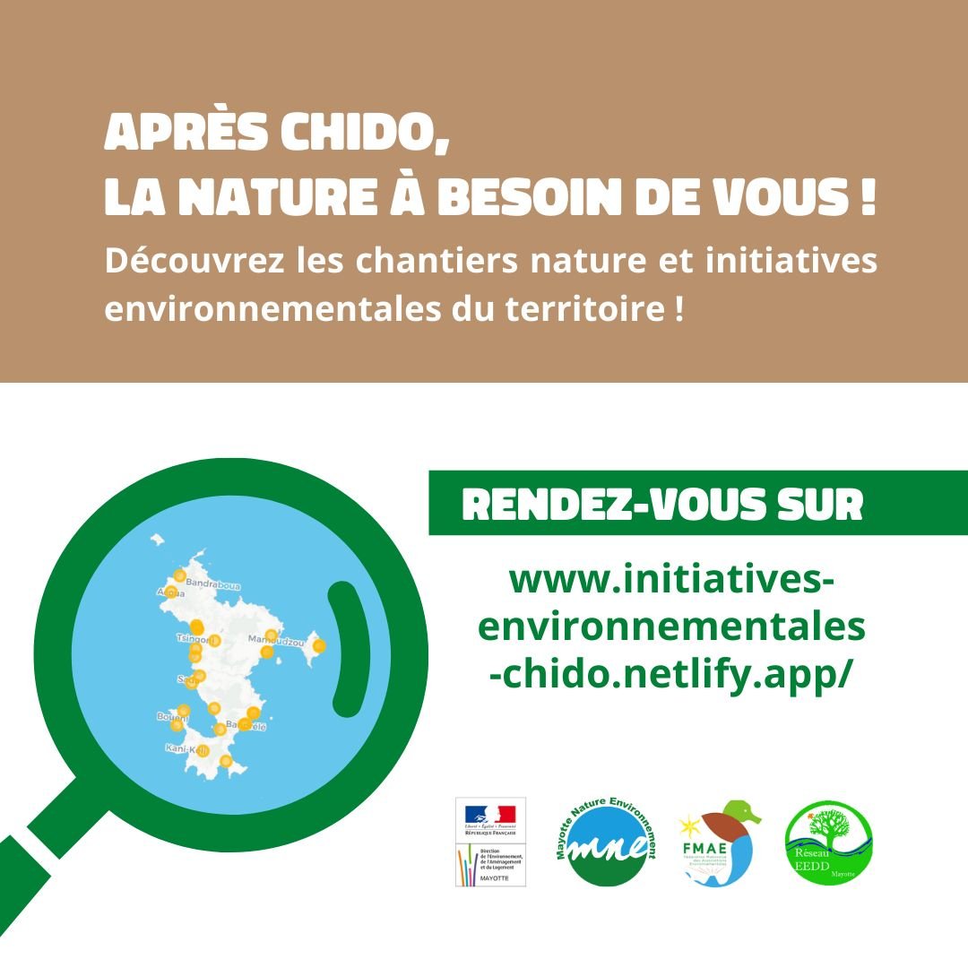 Le CPIE Maoré après le cyclone Chido : reconstruire avec la nature