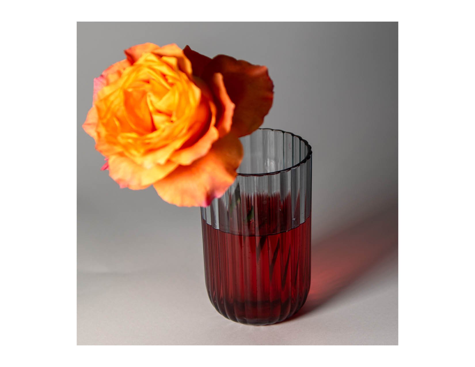 extraStillLife4.jpg