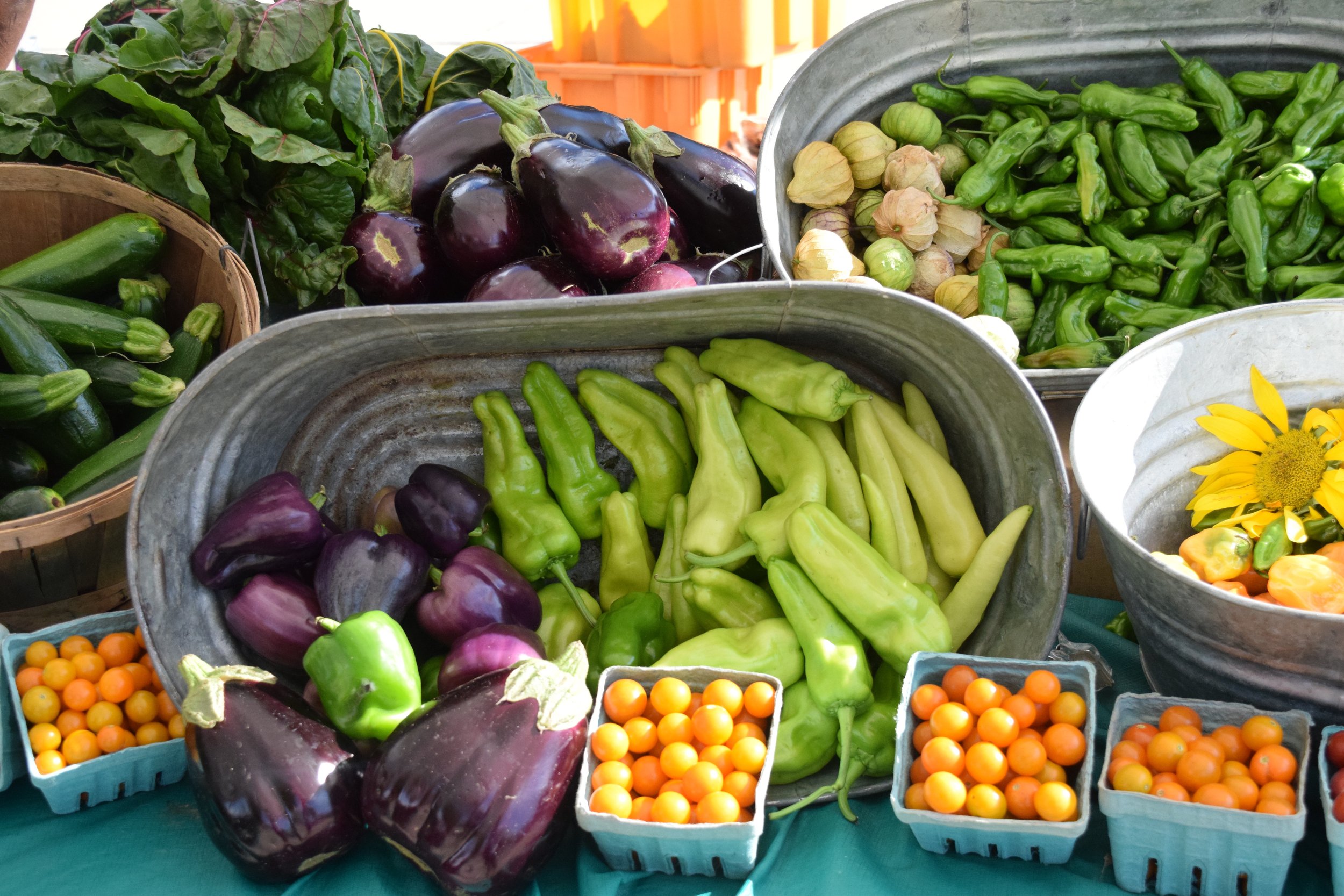 2016_Dudley Market_Root Crew_veg array.jpg