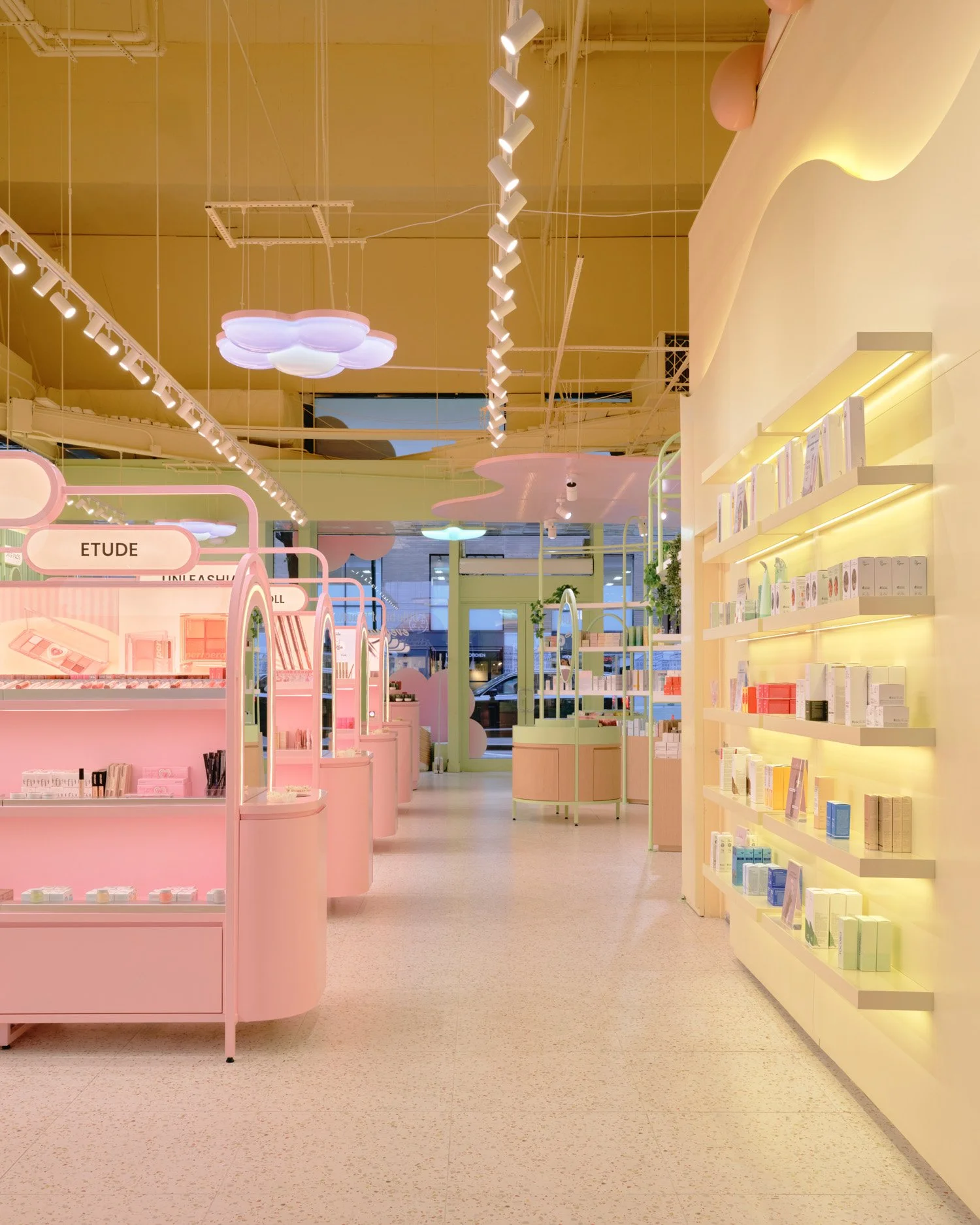 Sukoshi (11.11.25)8485.jpg