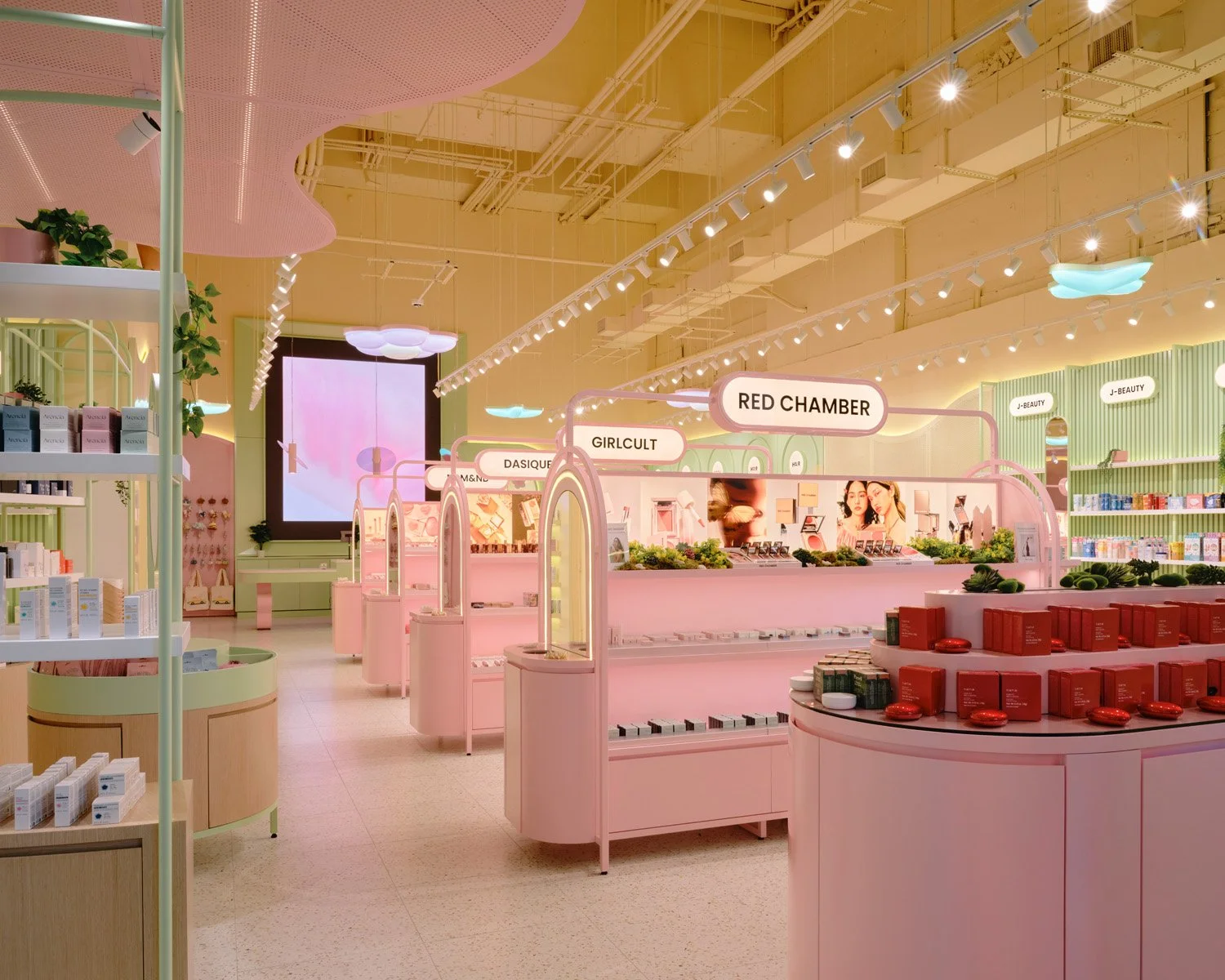 Sukoshi (11.11.25)8575.jpg