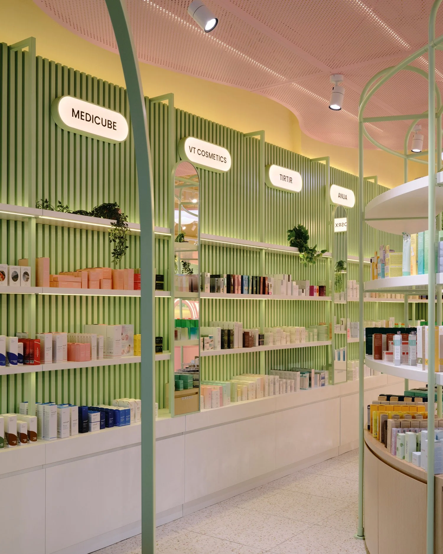 Sukoshi (11.11.25)8587.jpg