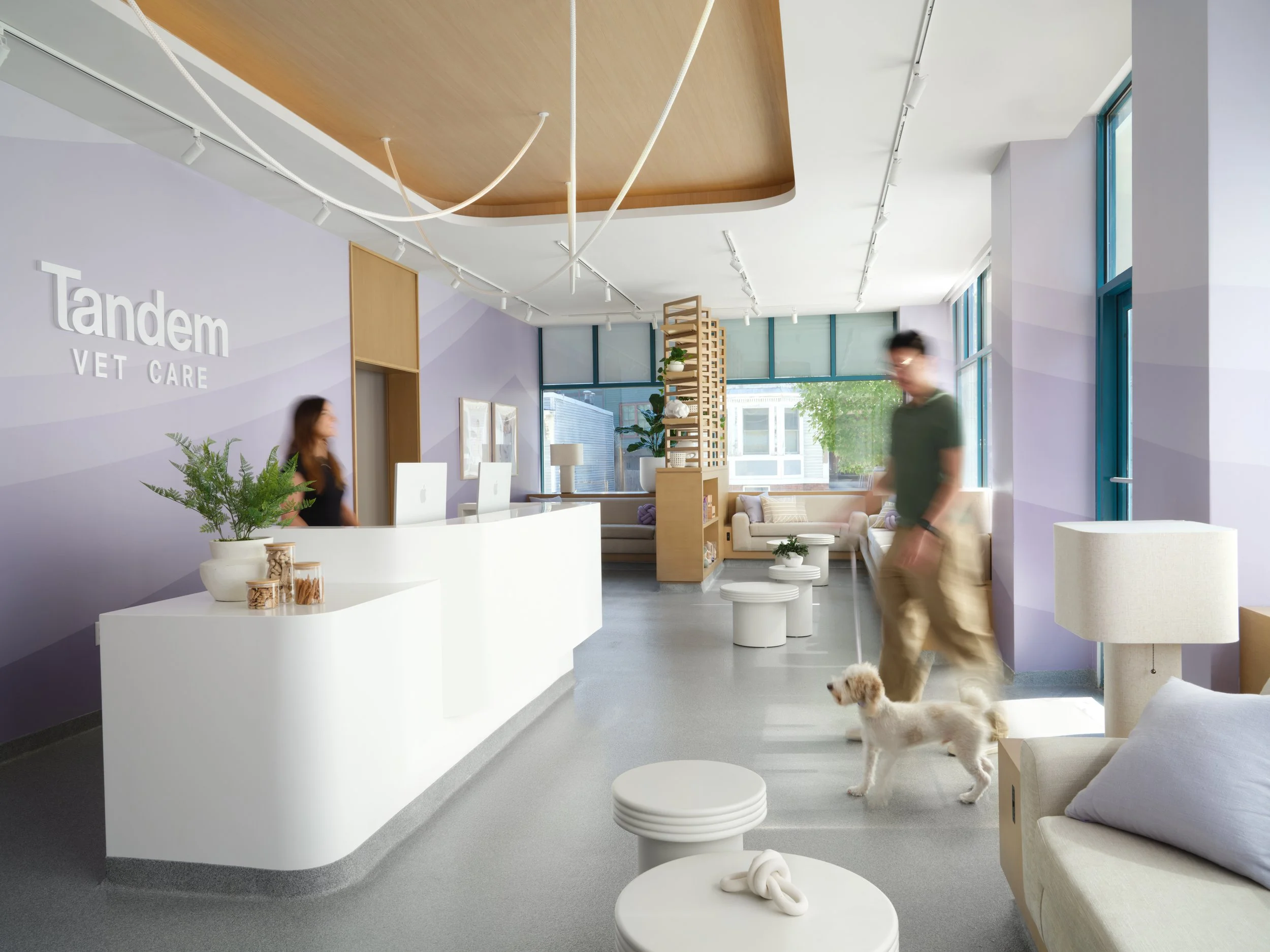 Tandem Veterinary Care clinic. Reception design and construction management project by O’Leary Group.