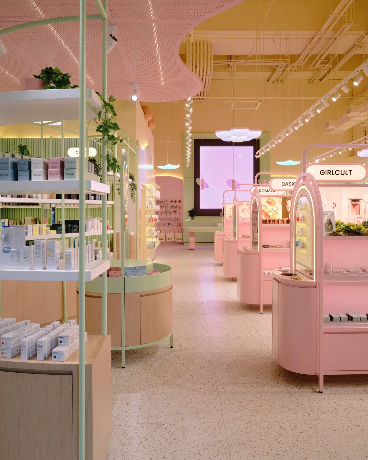 Sukoshi (11.11.25)8581.jpg