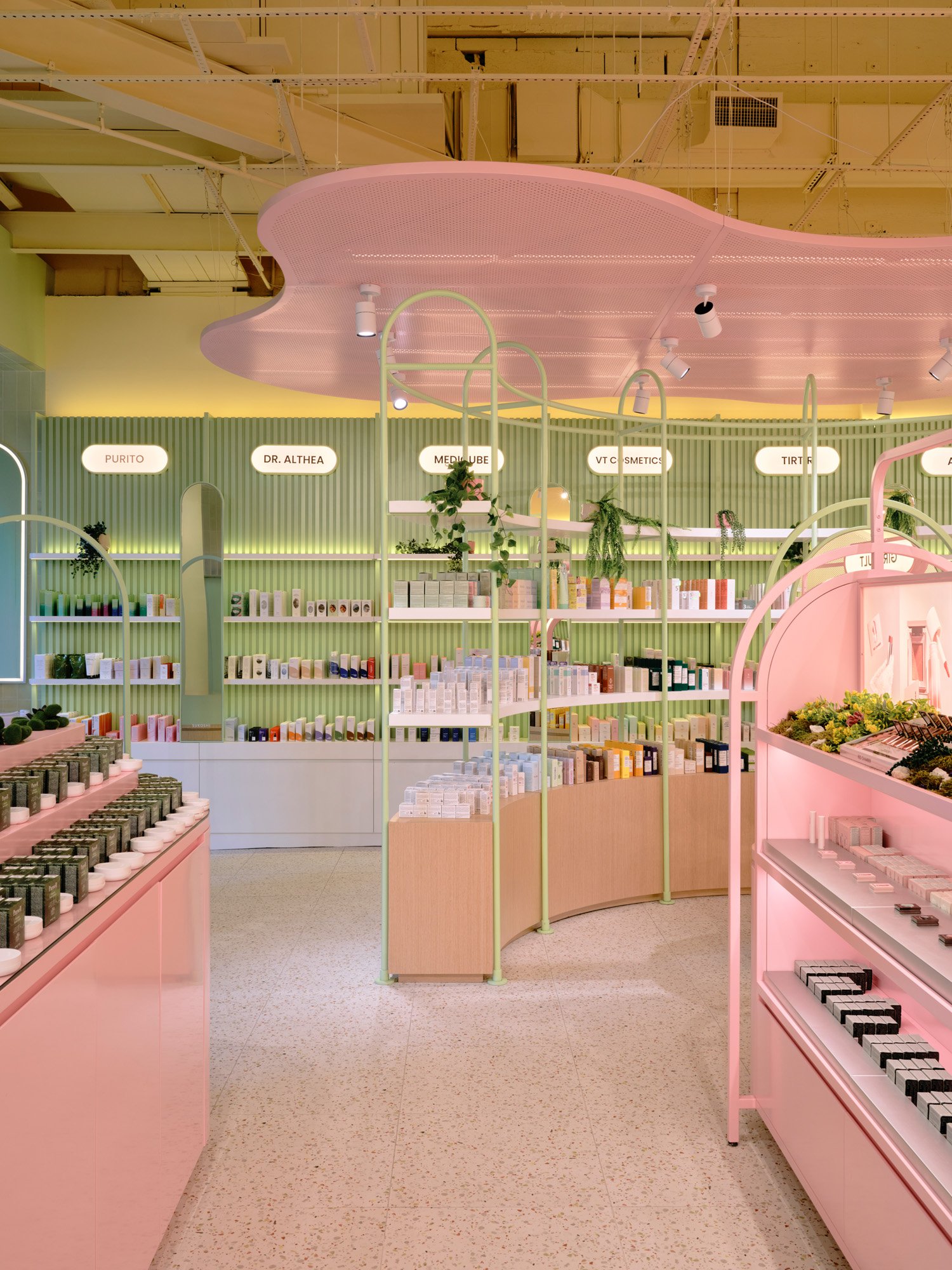 Sukoshi (11.11.25)8611.jpg