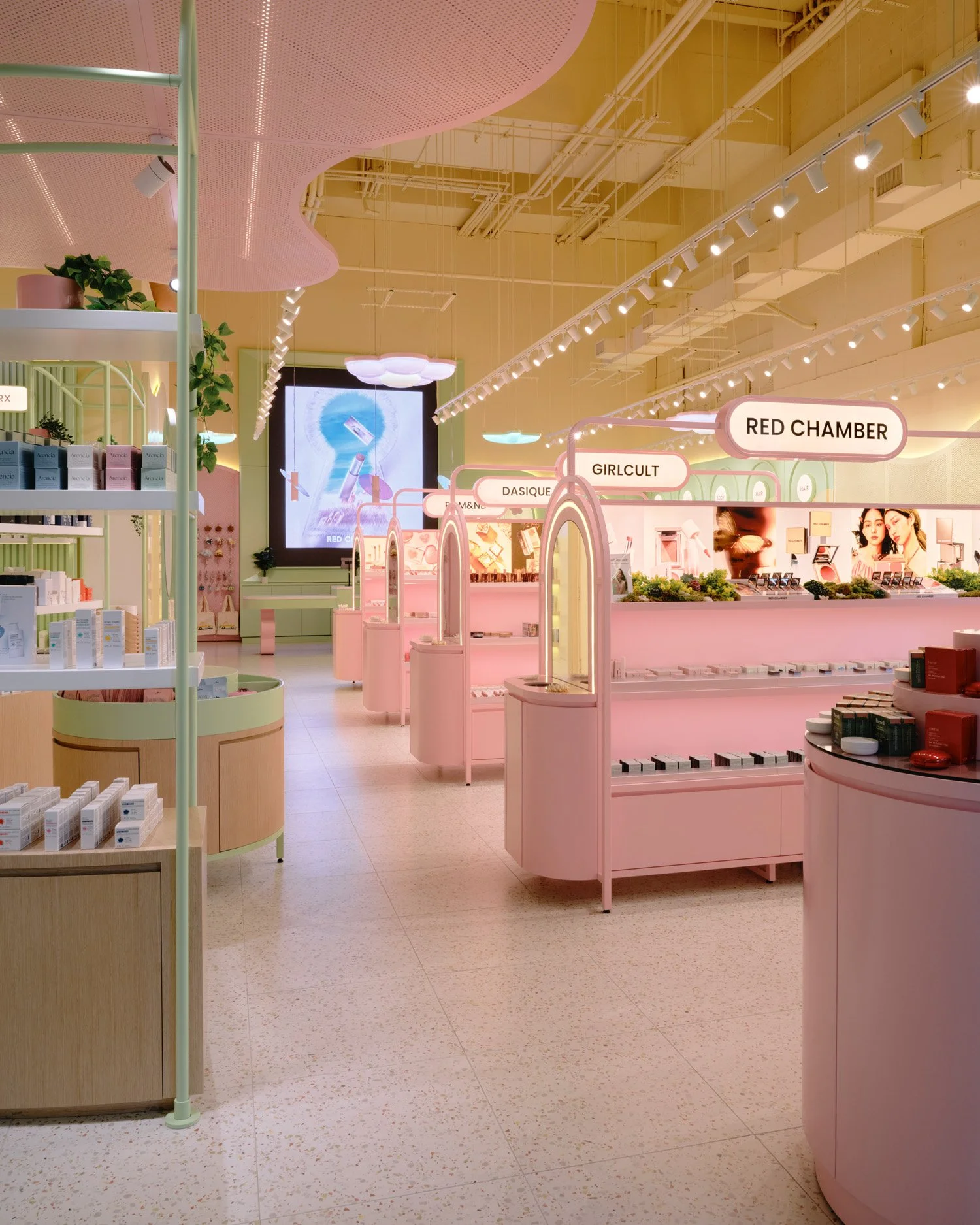 Sukoshi (11.11.25)8577.jpg