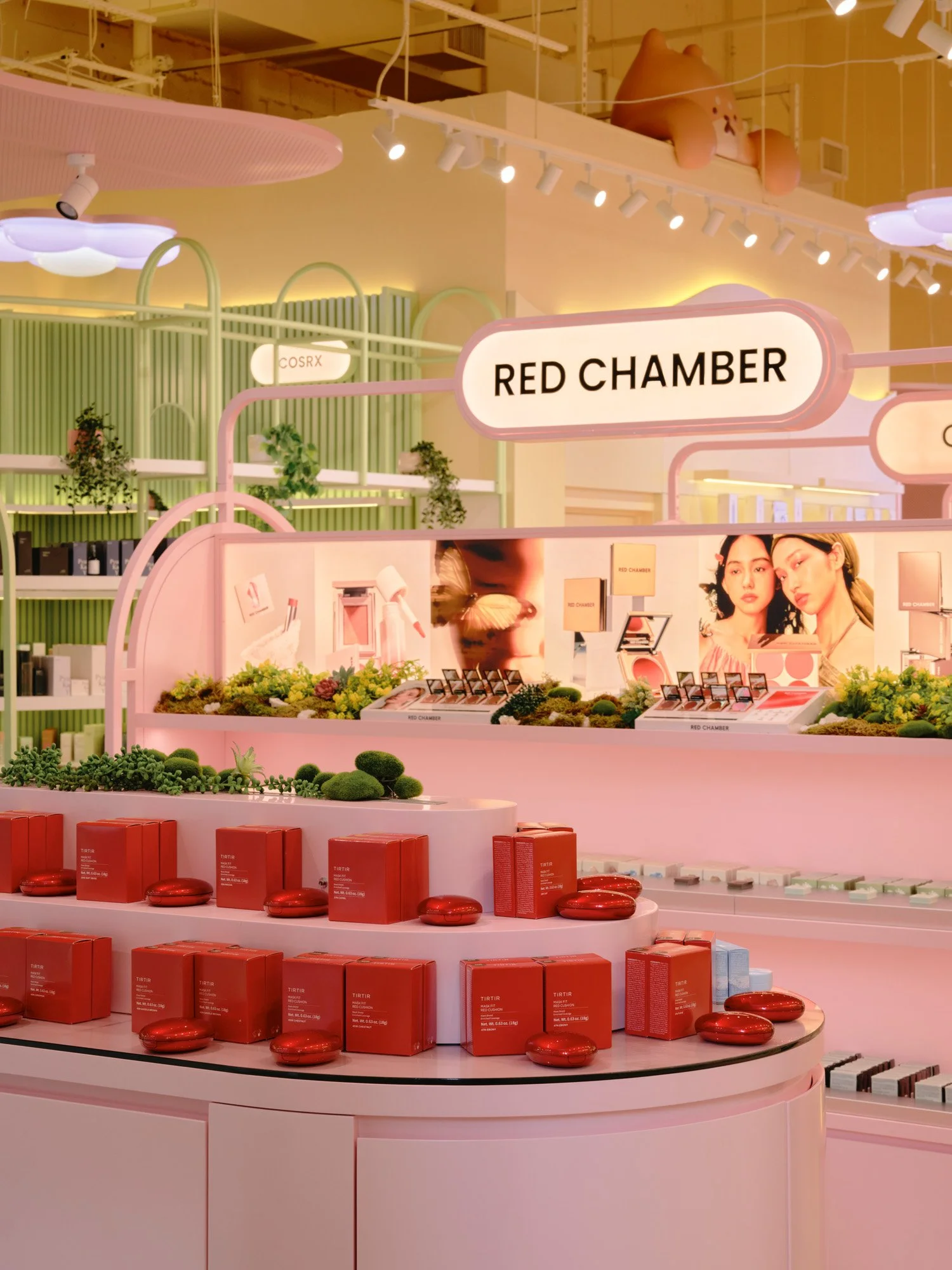 Sukoshi (11.11.25)8766.jpg