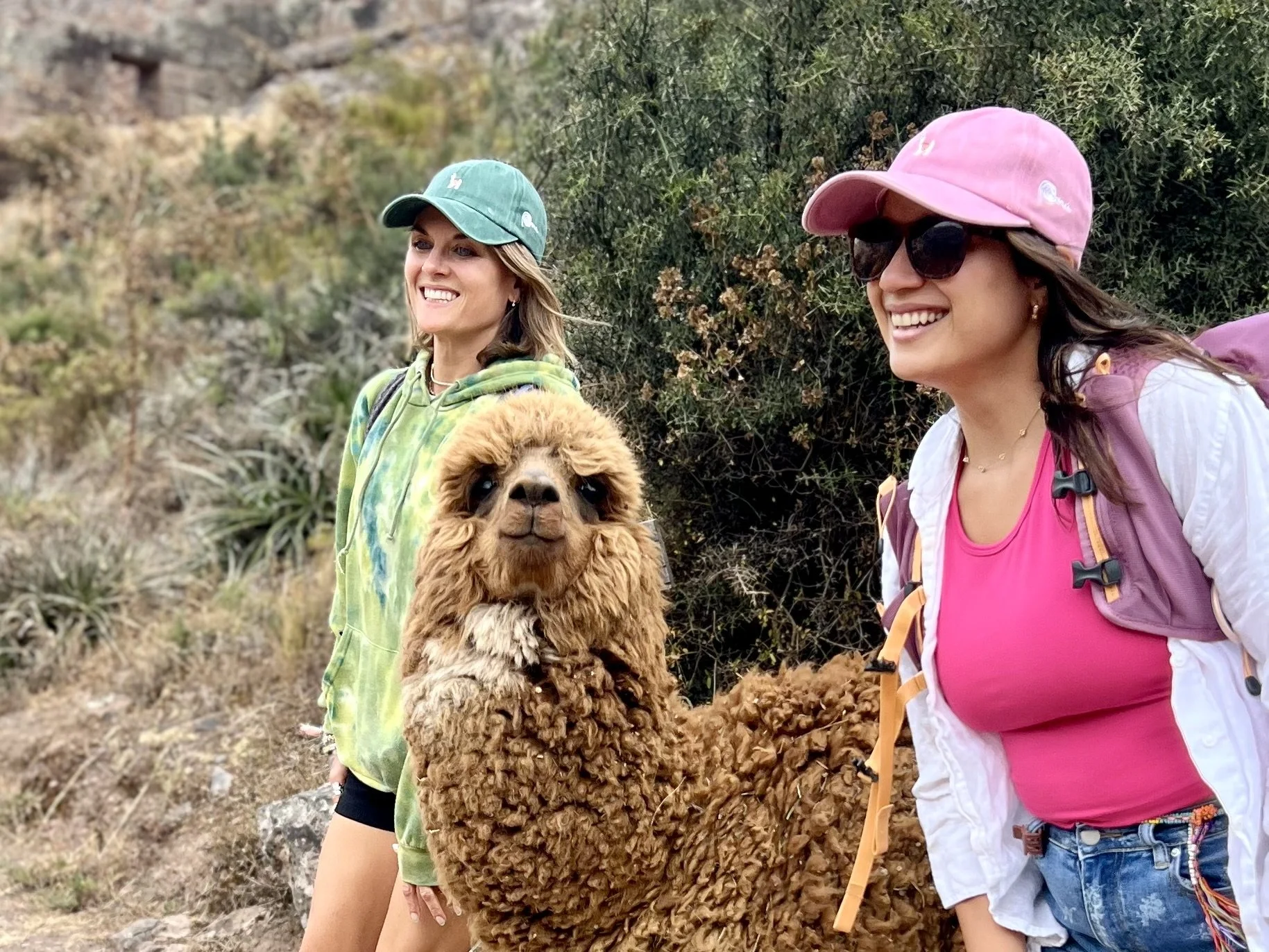 Two women hiking outdoors with an alpaca, one wearing a green cap and hoodie, and the other wearing a pink cap, sunglasses, and a white jacket, both smiling.