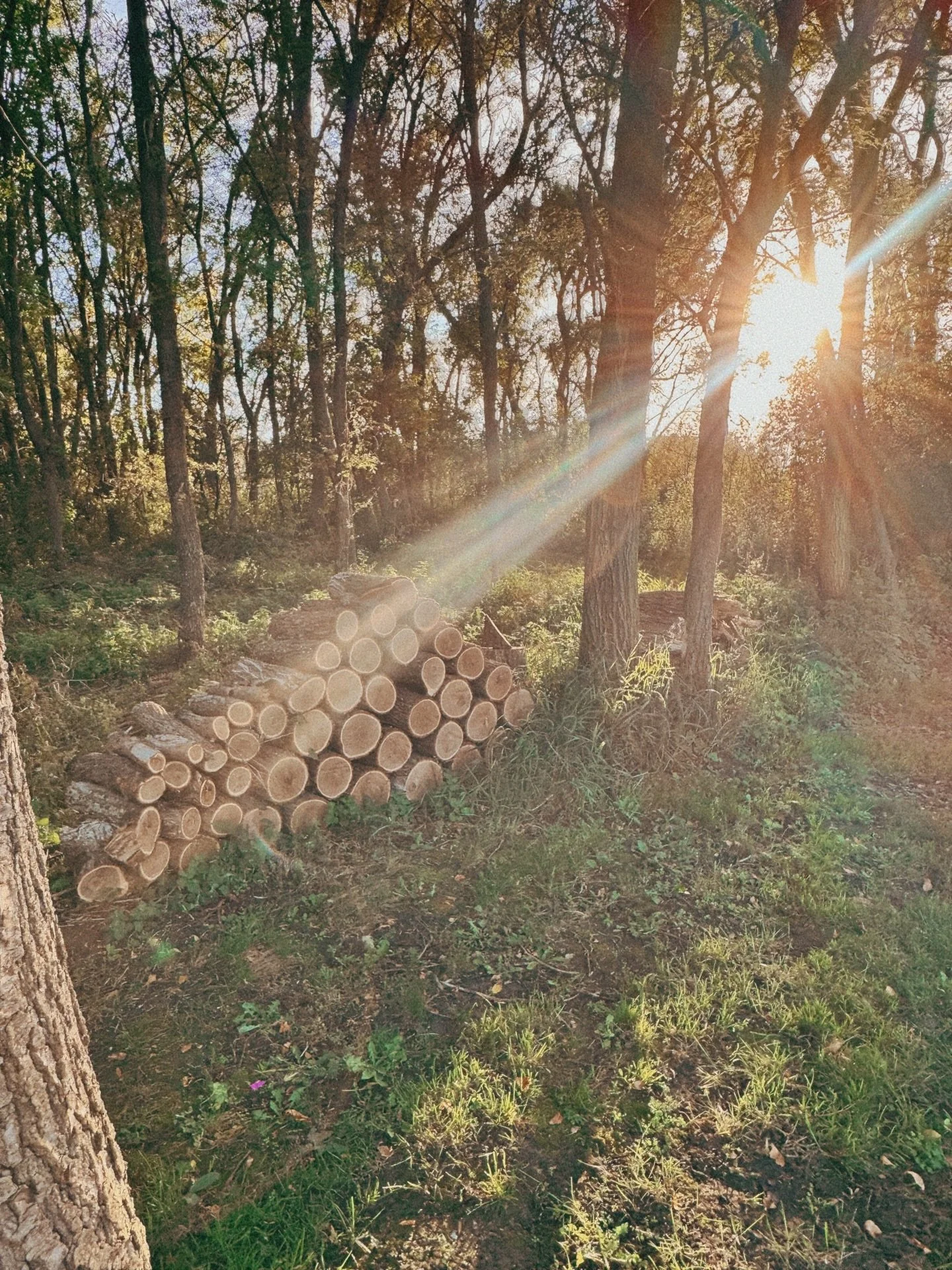 Another wedding weekend loading at Stable Waters &amp; the views are oh so lovely 🫶🏼