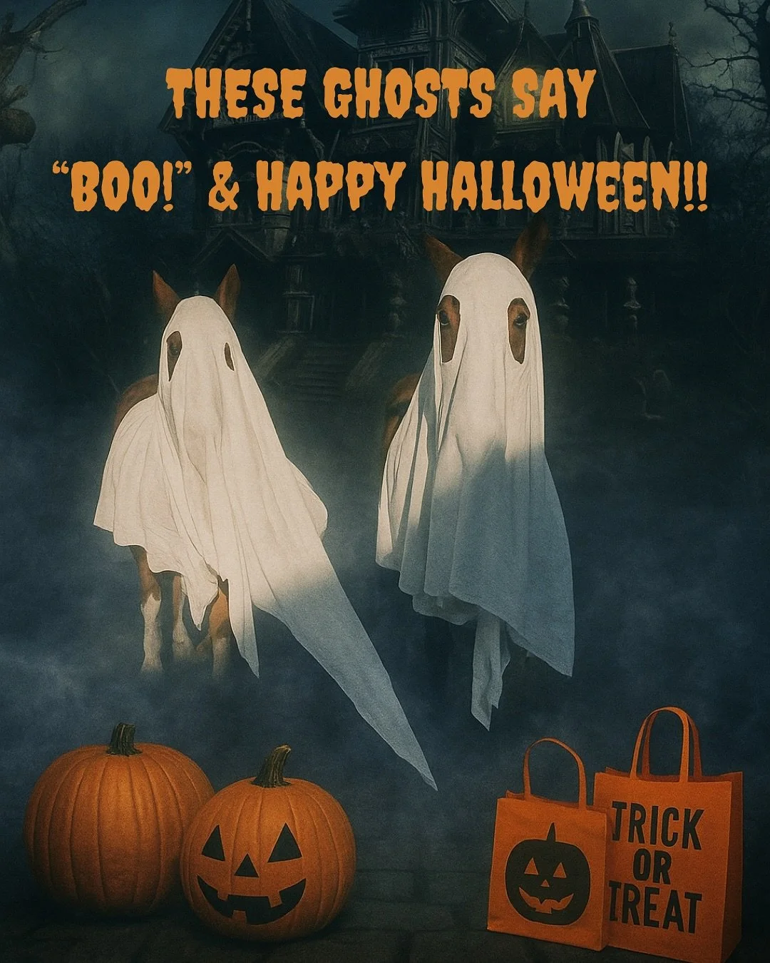 Happy Halloween from our boo-tiful Caspers the friendly ghosts! 👻🐴

👉We got to sprinkle some extra toy treats to costumed kiddos while we attended Zoo-Boo with our little guy 🫶🏼🐴

👉 The Eggsecutive Suite chickens gifted us a cracked egg that l