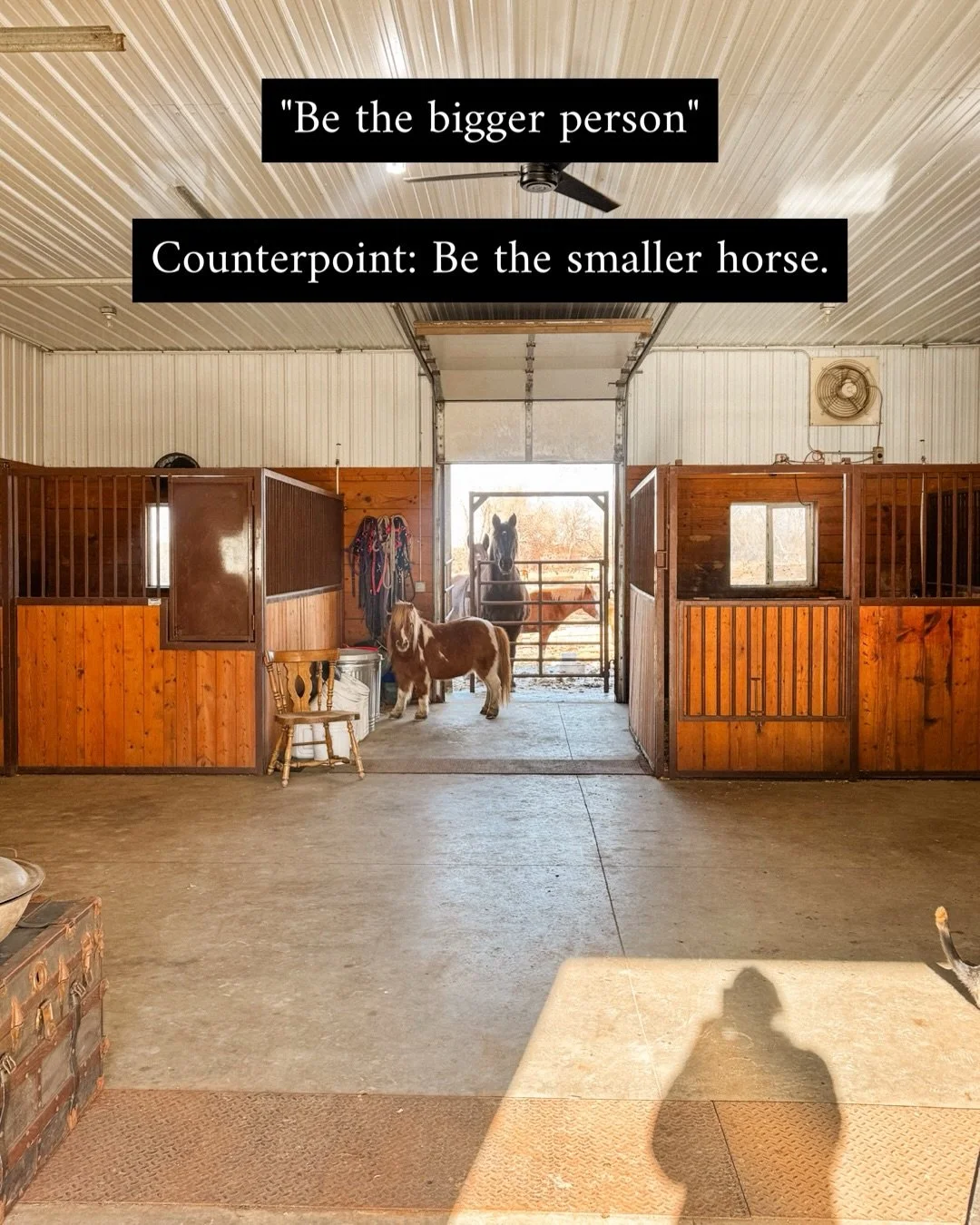 &ldquo;I just think it&rsquo;s interesting you did yoga without me.&rdquo; 
  #stablewatersranch #horseboarding #vacationrental #watertownsd #socialjustice