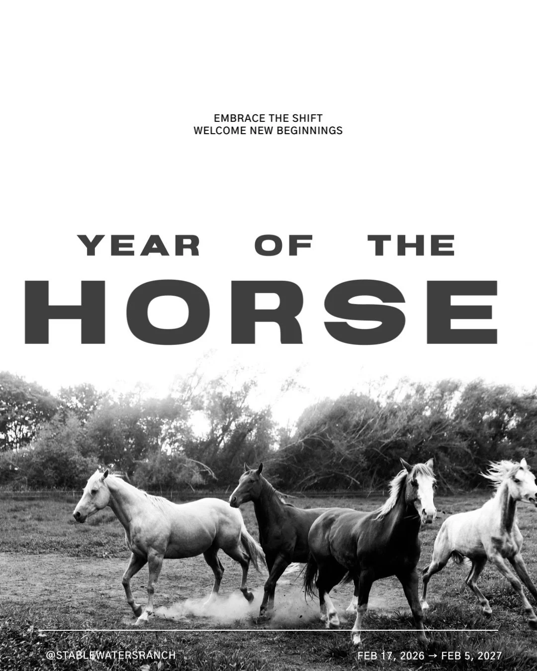 You know how there are just so many situations all of the time? *motions to world* Well that&rsquo;s the reason for our the delay in posting about The Year Of The Horse. 
We are so obsessed with this we could write it a thank-you card for existing.
J