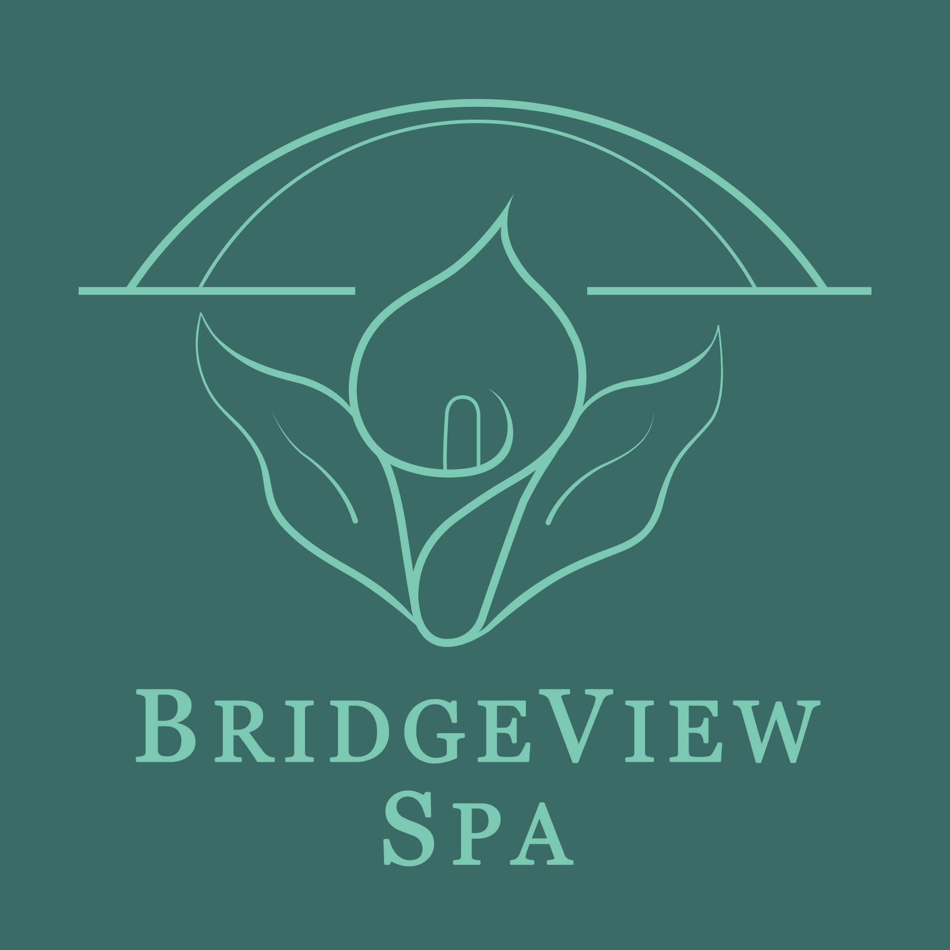 SILVER SPONSOR