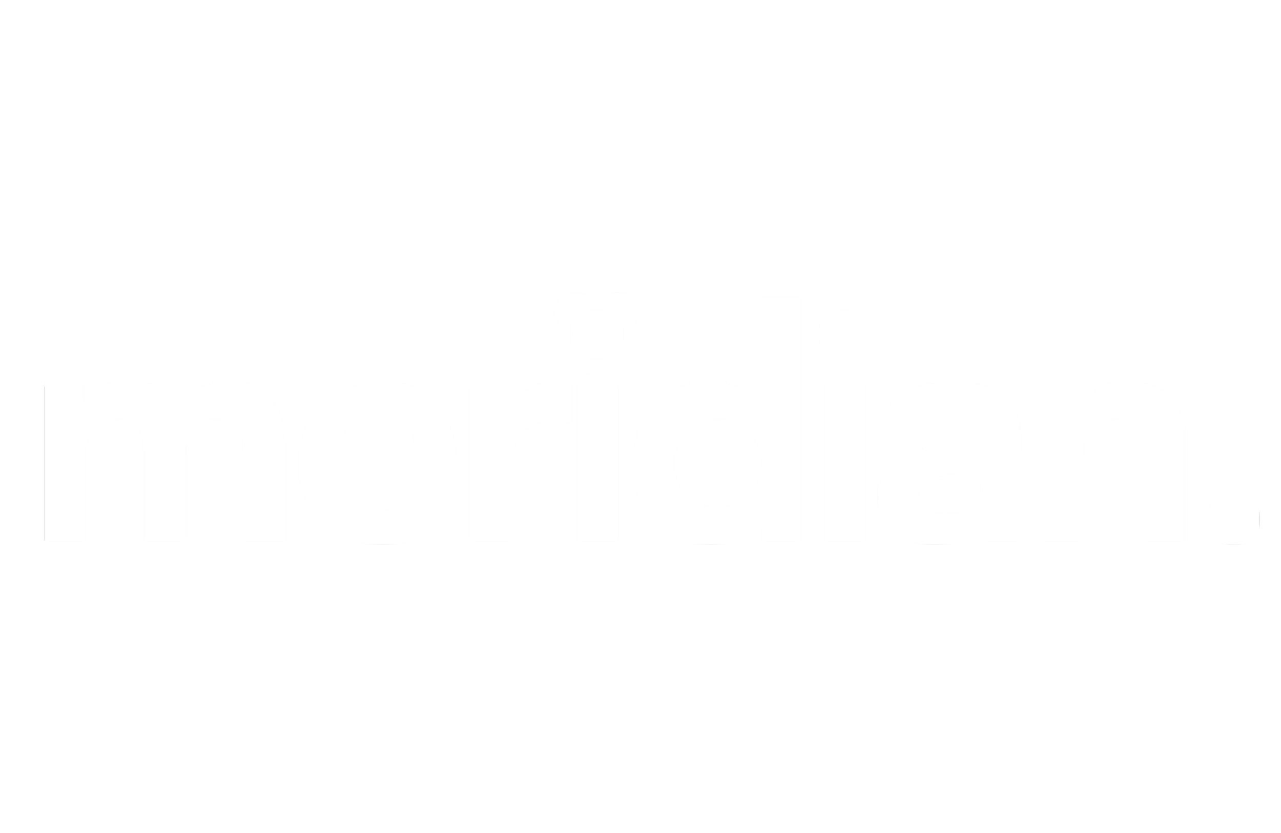 The word 'meridian' in white text on a black background.