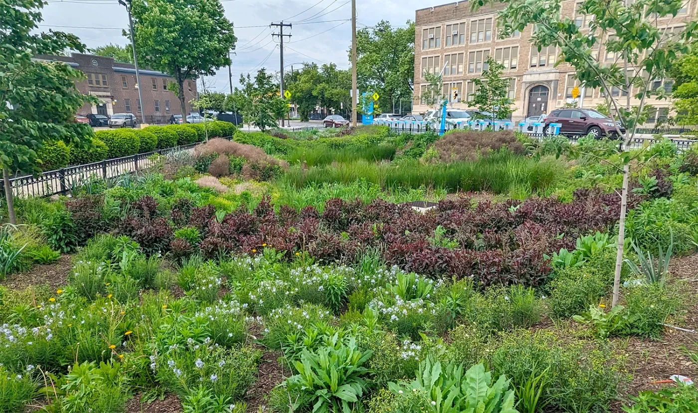 rain-garden-53rd-baltimore.webp