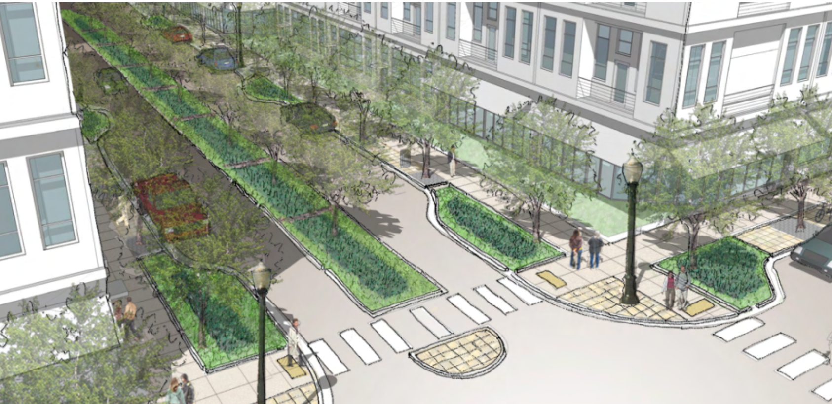 Designing with Nature: Integrating Bioswales and Rain Gardens into Urban Landscapes