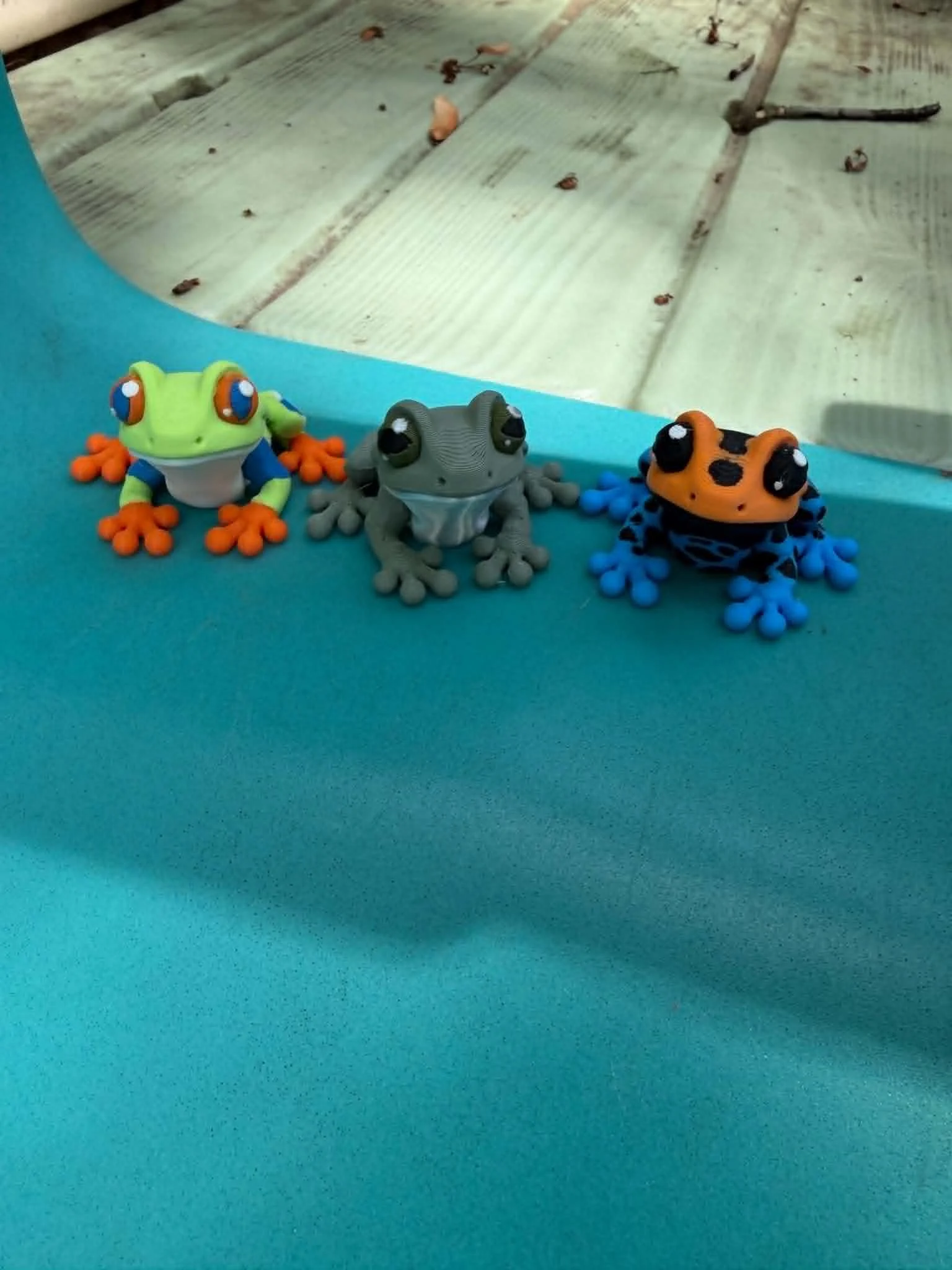 frogs.jfif