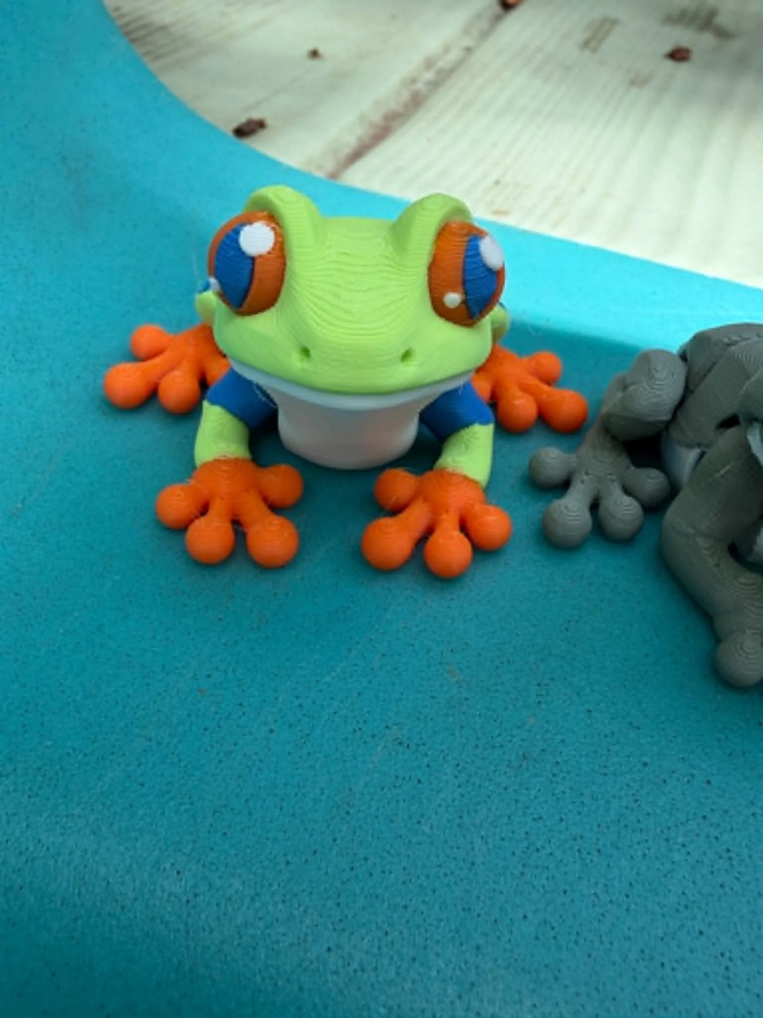 rainforest frog.jfif