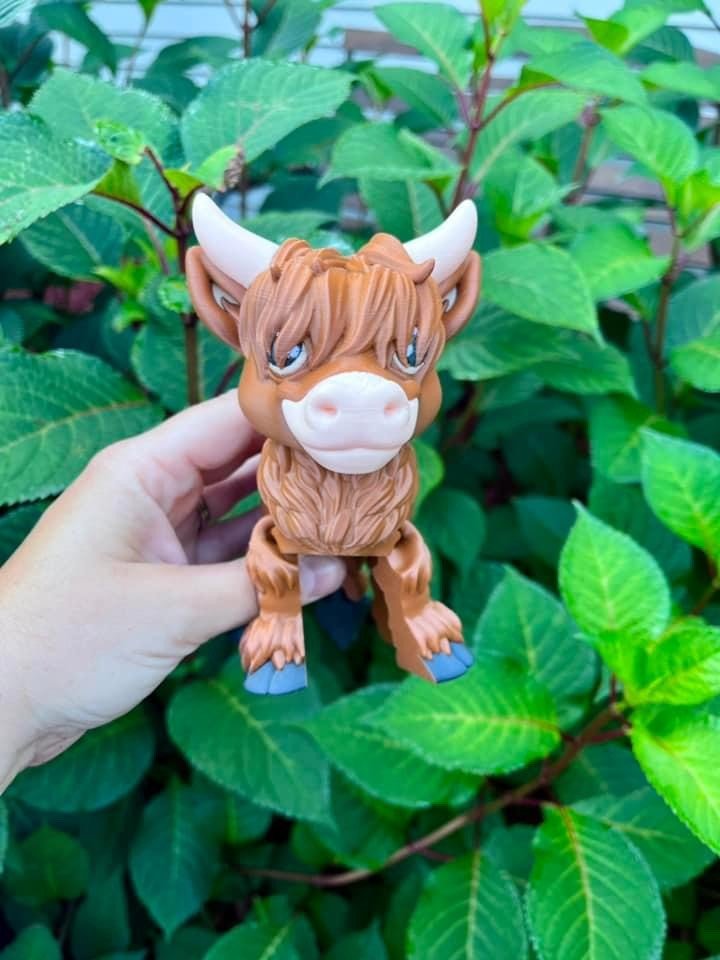 Highland Cow