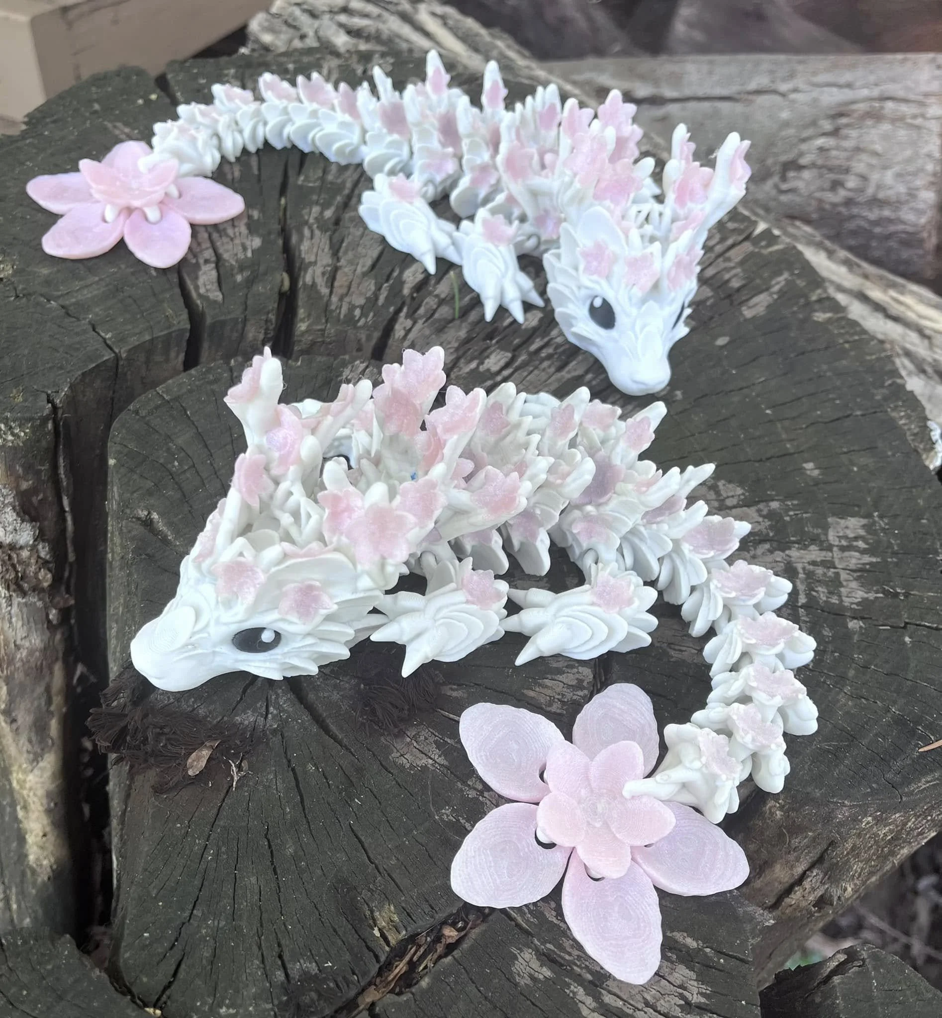 Cherry Blossom Dragon.jpg