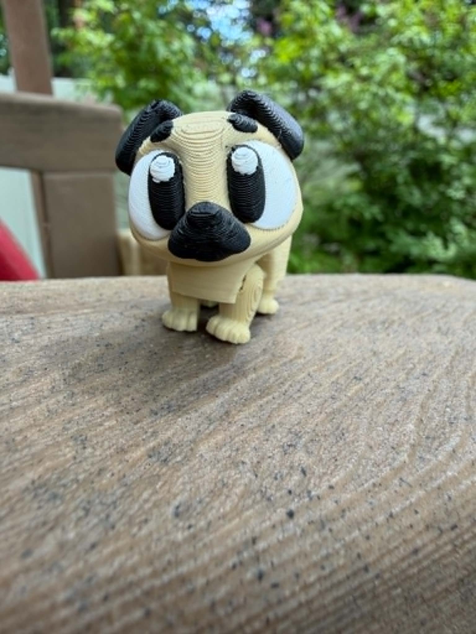 PUG.jfif