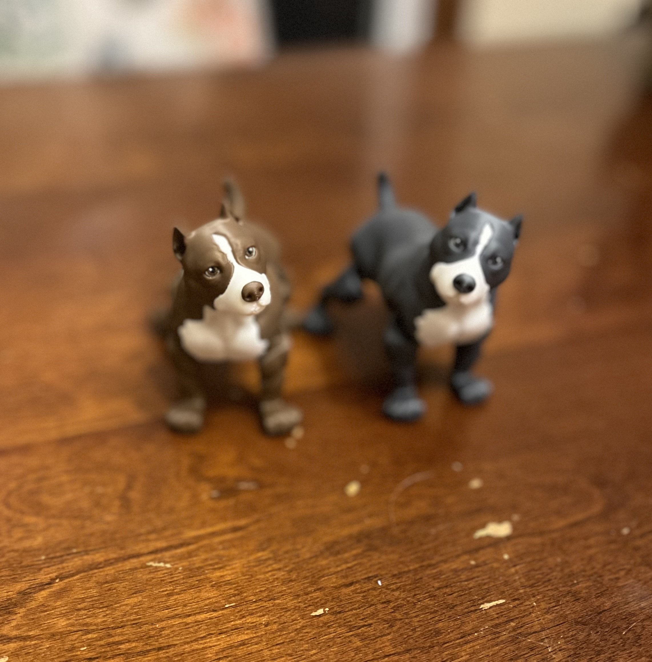 IMG_5838.jpeg