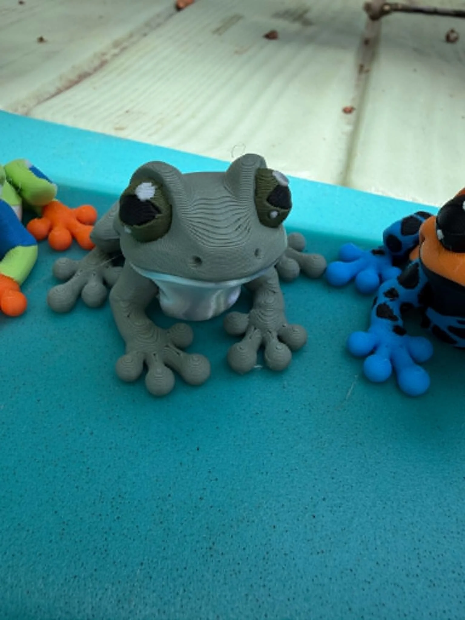 tree frog.jfif
