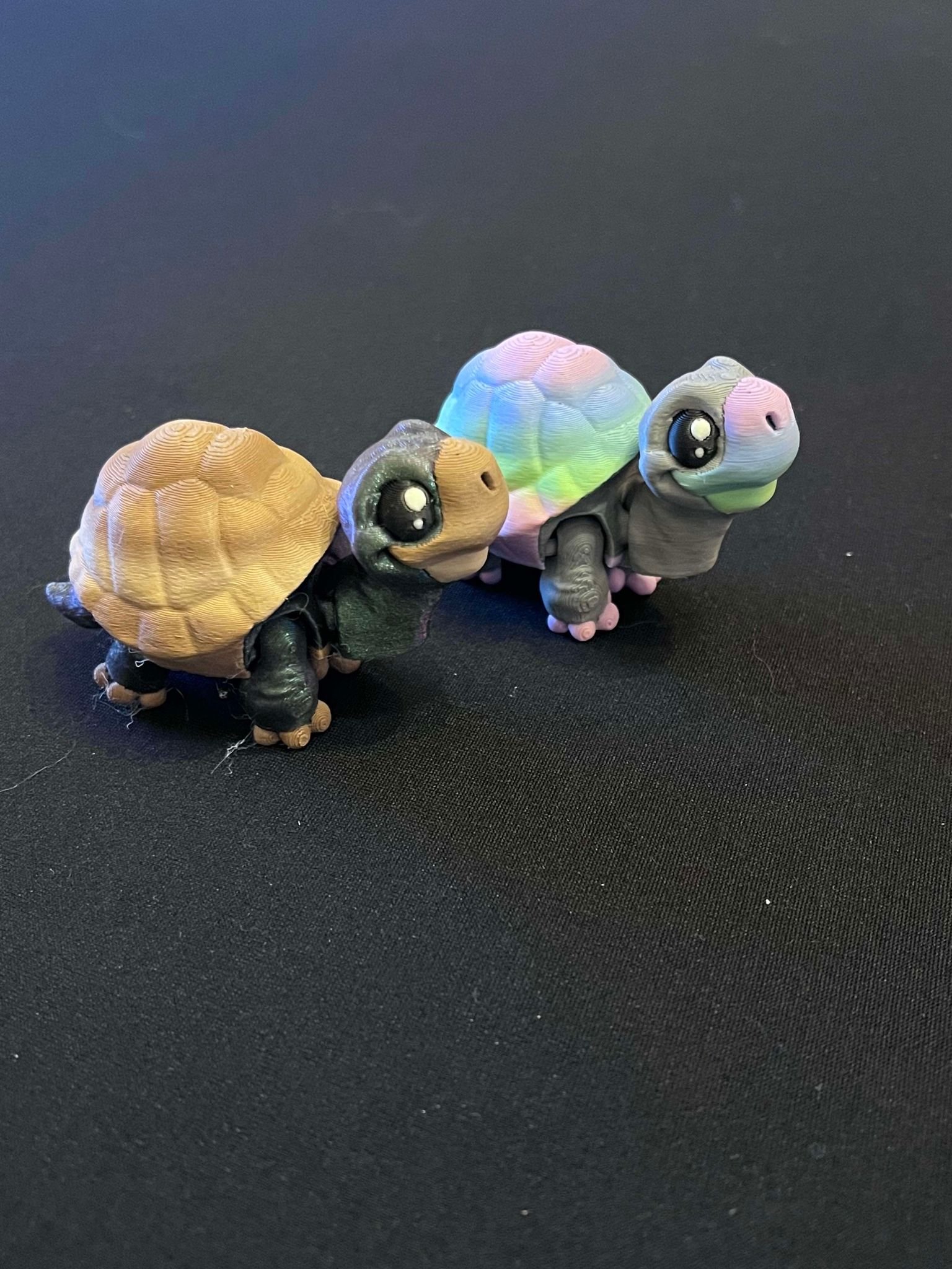 mini tortoises.jpg