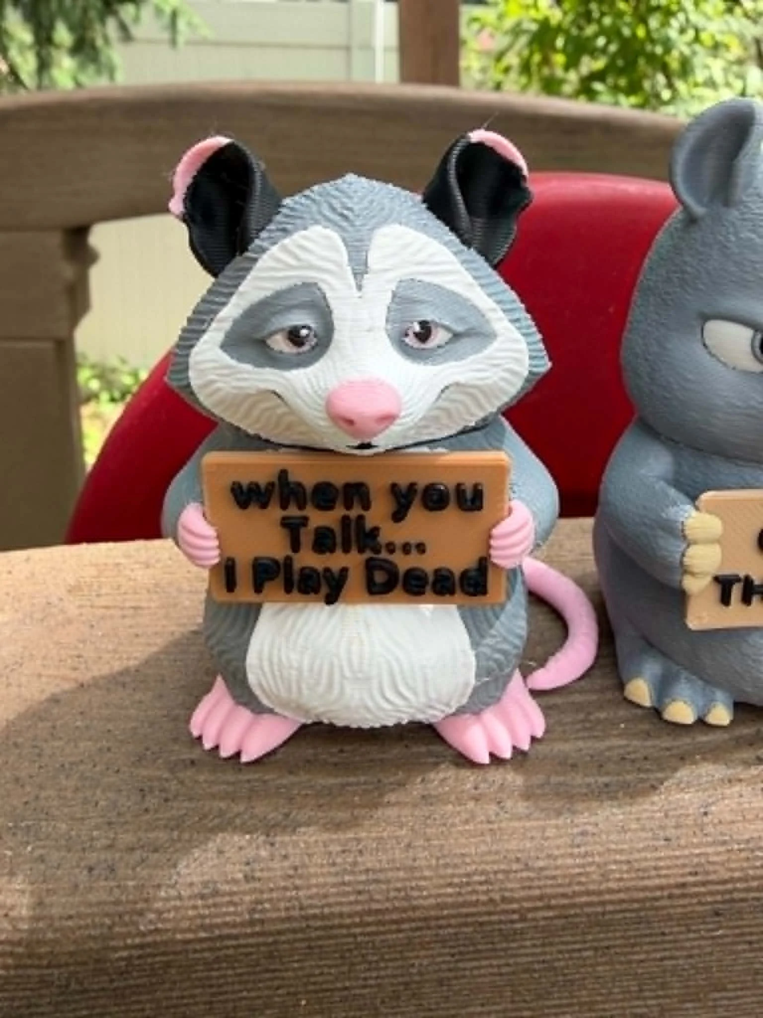 opossum.jfif