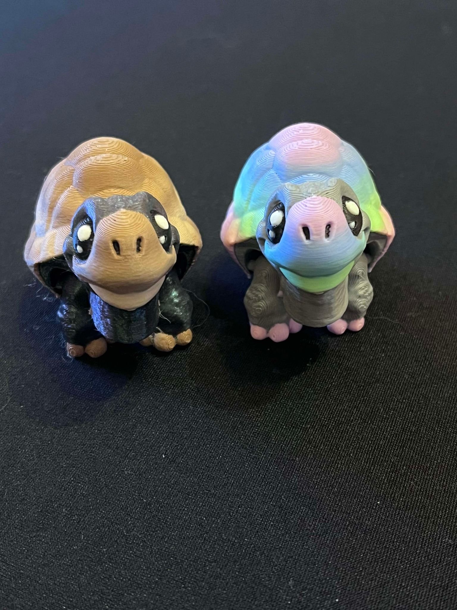 mini tortoise.jpg