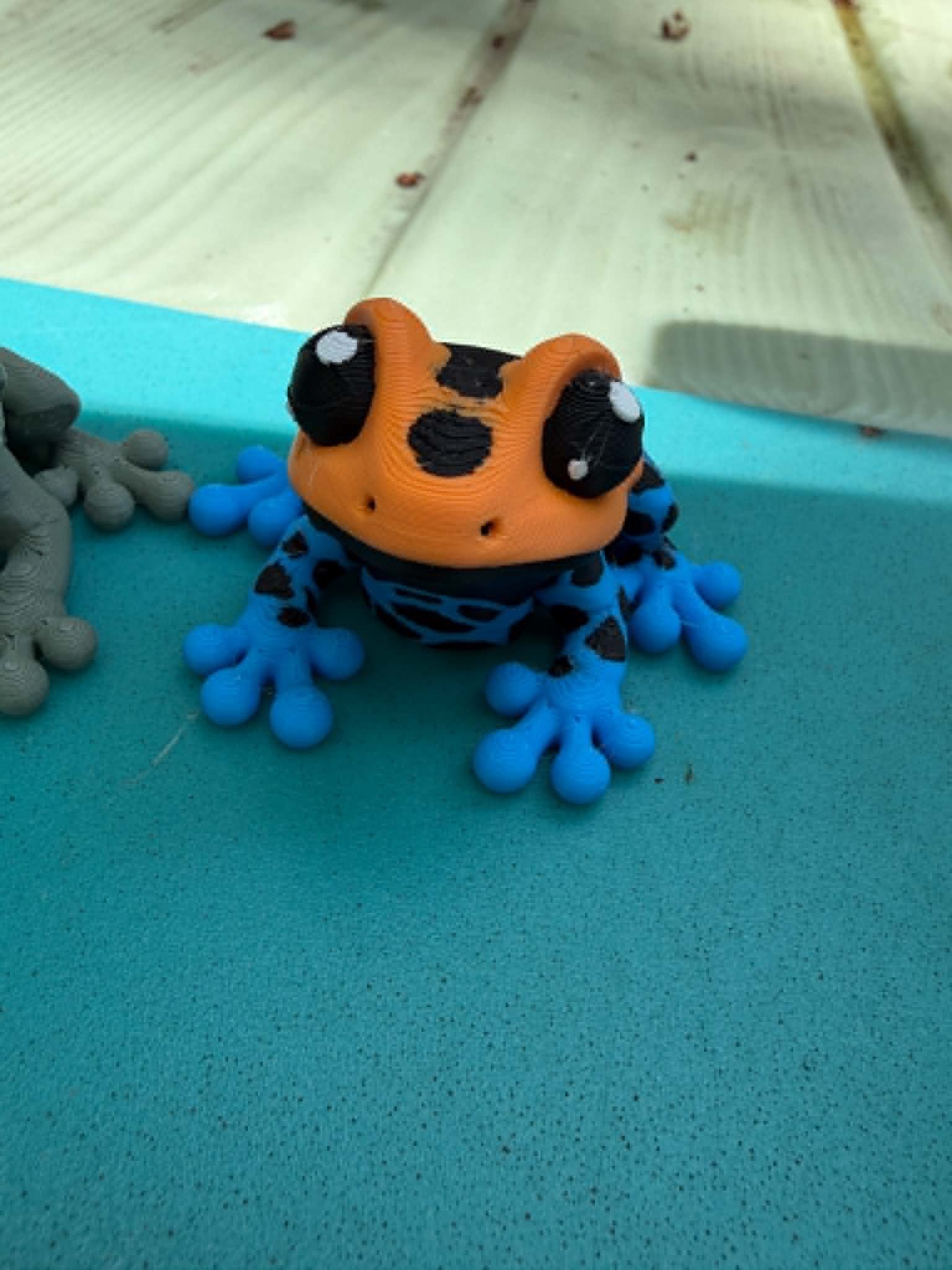poison dart frog.jfif