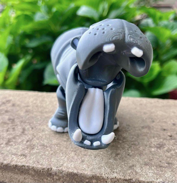 hippo 2.jpg