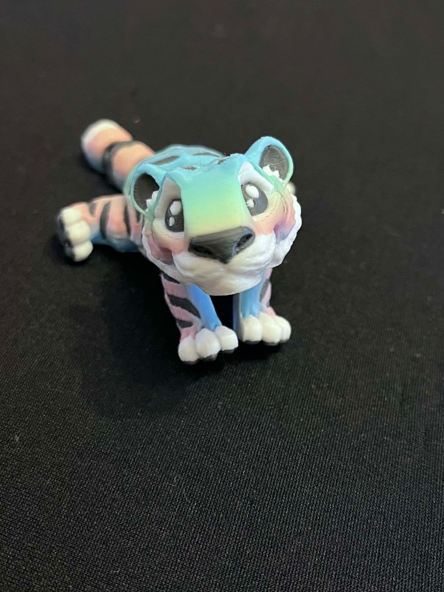 mini rainbw tiger.jpg
