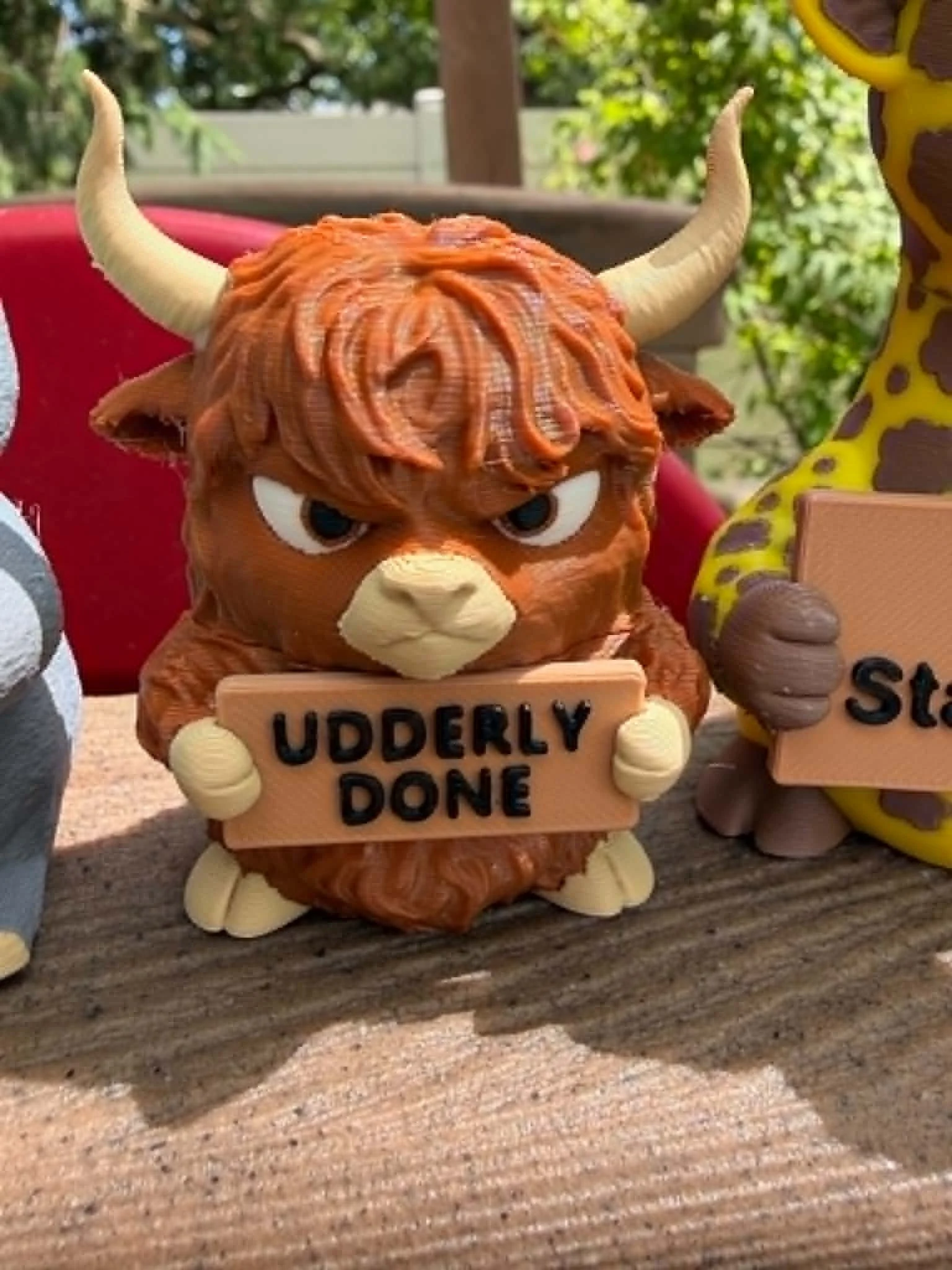 highland cow.jfif